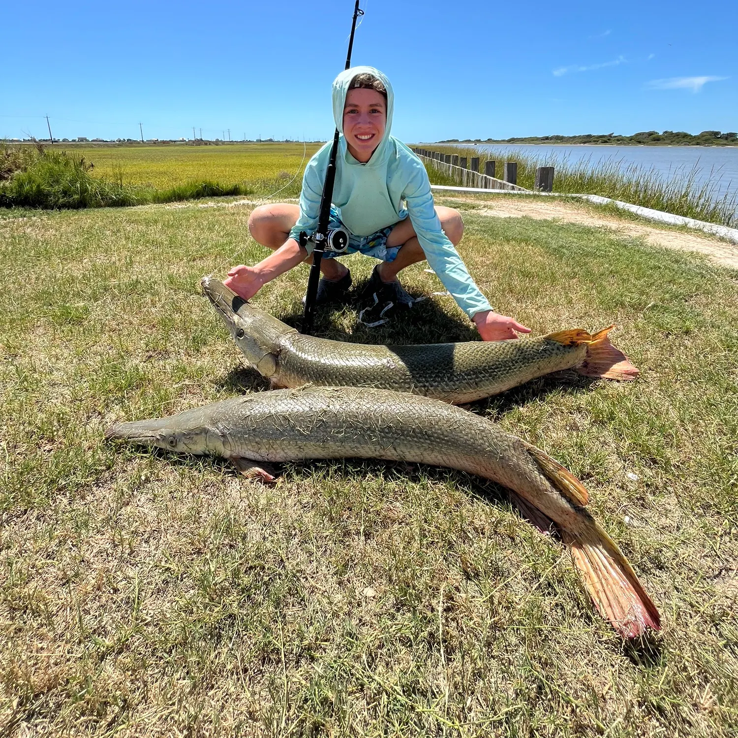 Alligator gar caught on Fishbrain