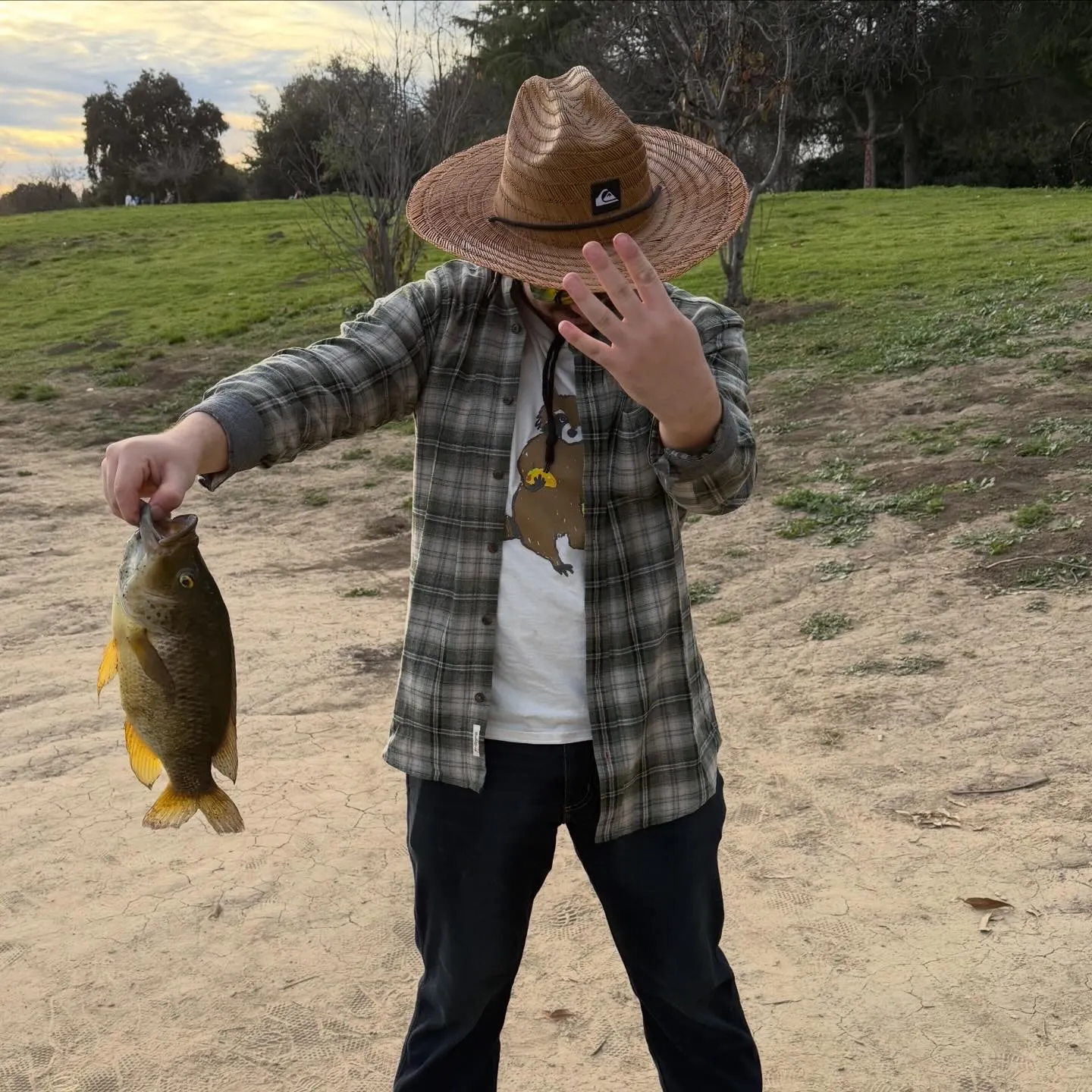 The most recent Redbreast tilapia catches on Fishbrain