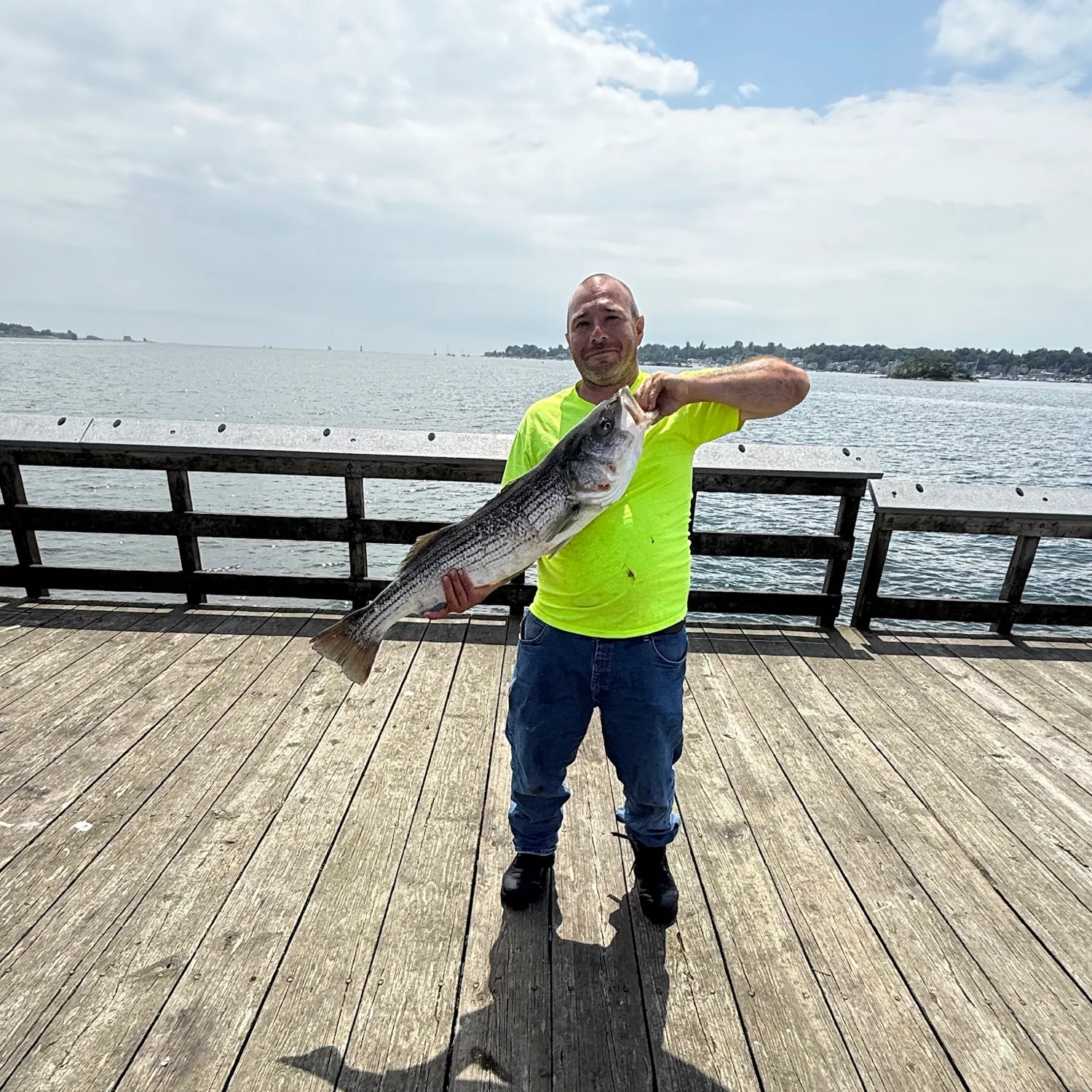 The most recent Striped bass catches on Fishbrain