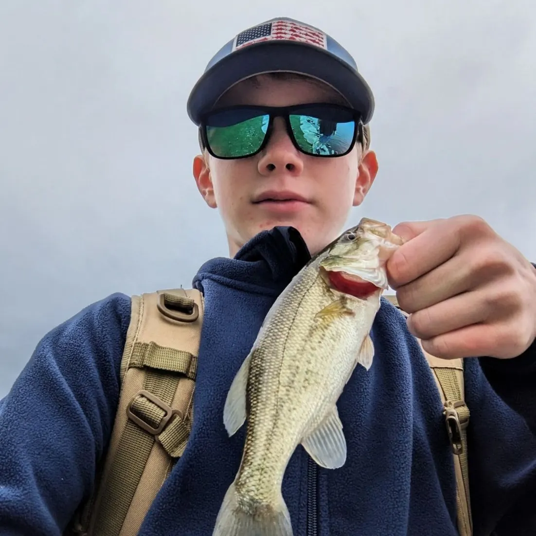 Largemouth bass caught on Fishbrain