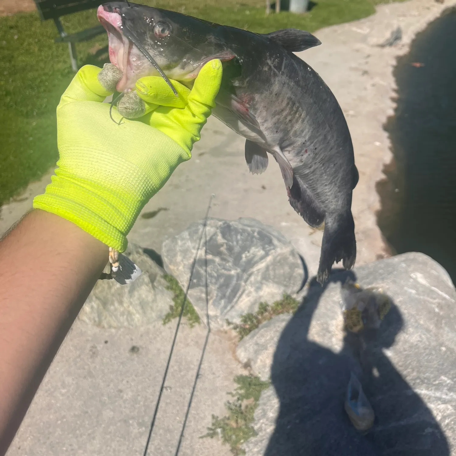 catch