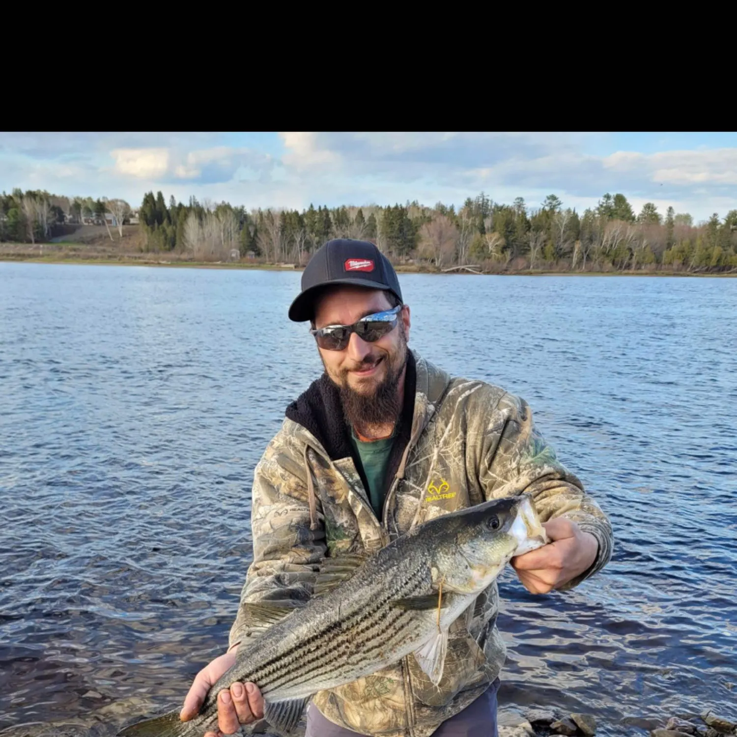 angler catch