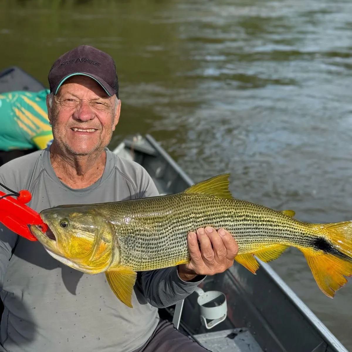 The most recent Golden dorado catches on Fishbrain