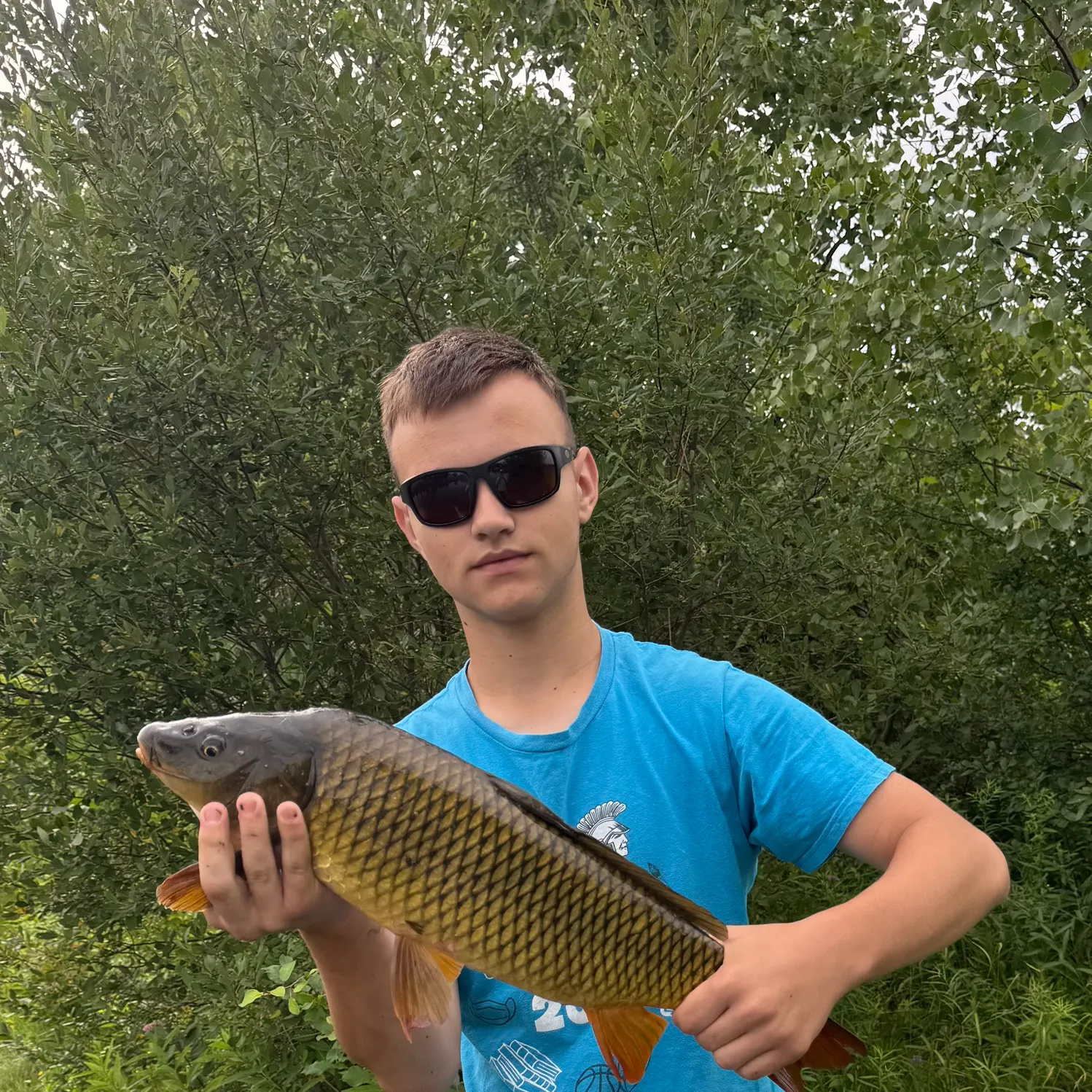 Common carp caught on Fishbrain
