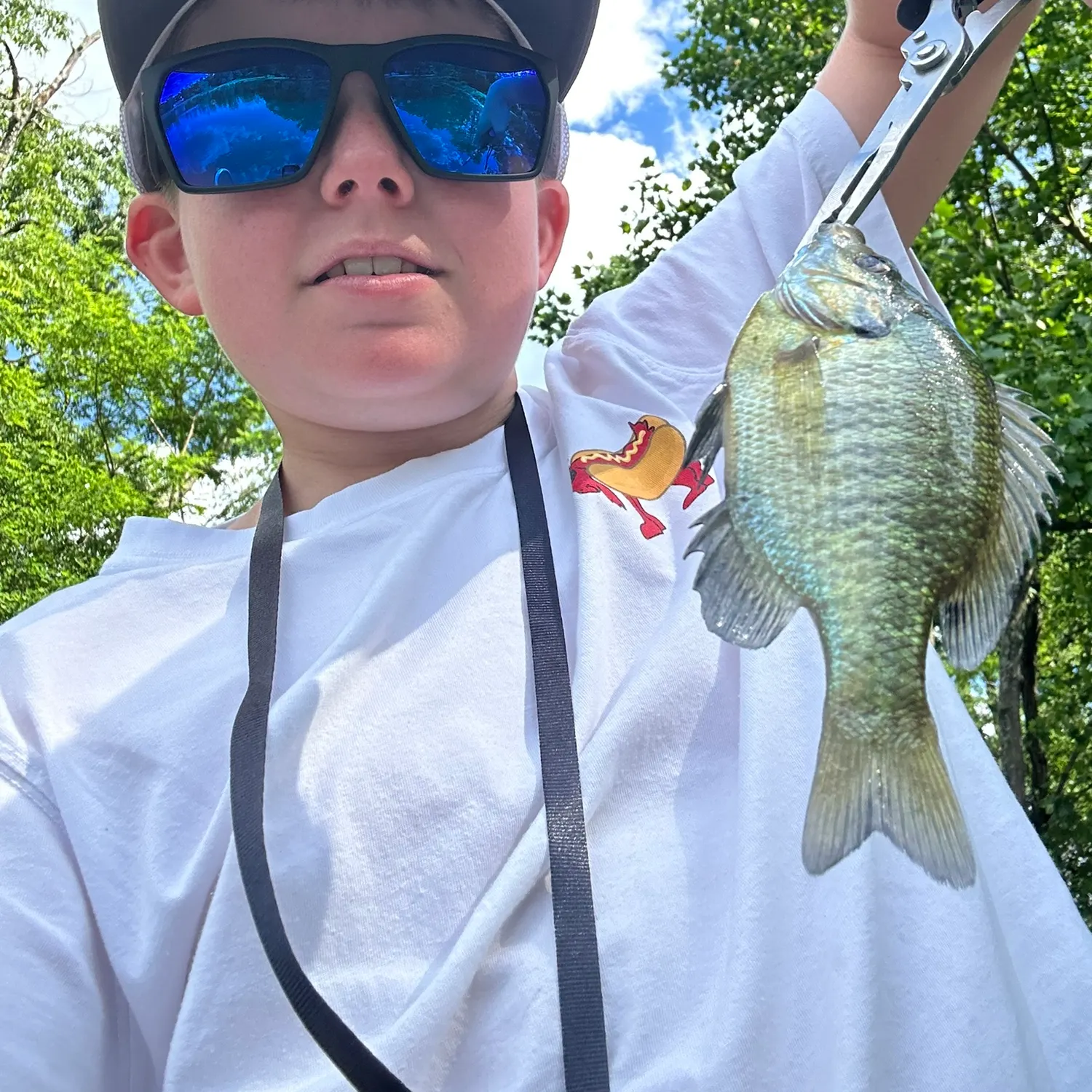 The most recent Redear sunfish catches on Fishbrain