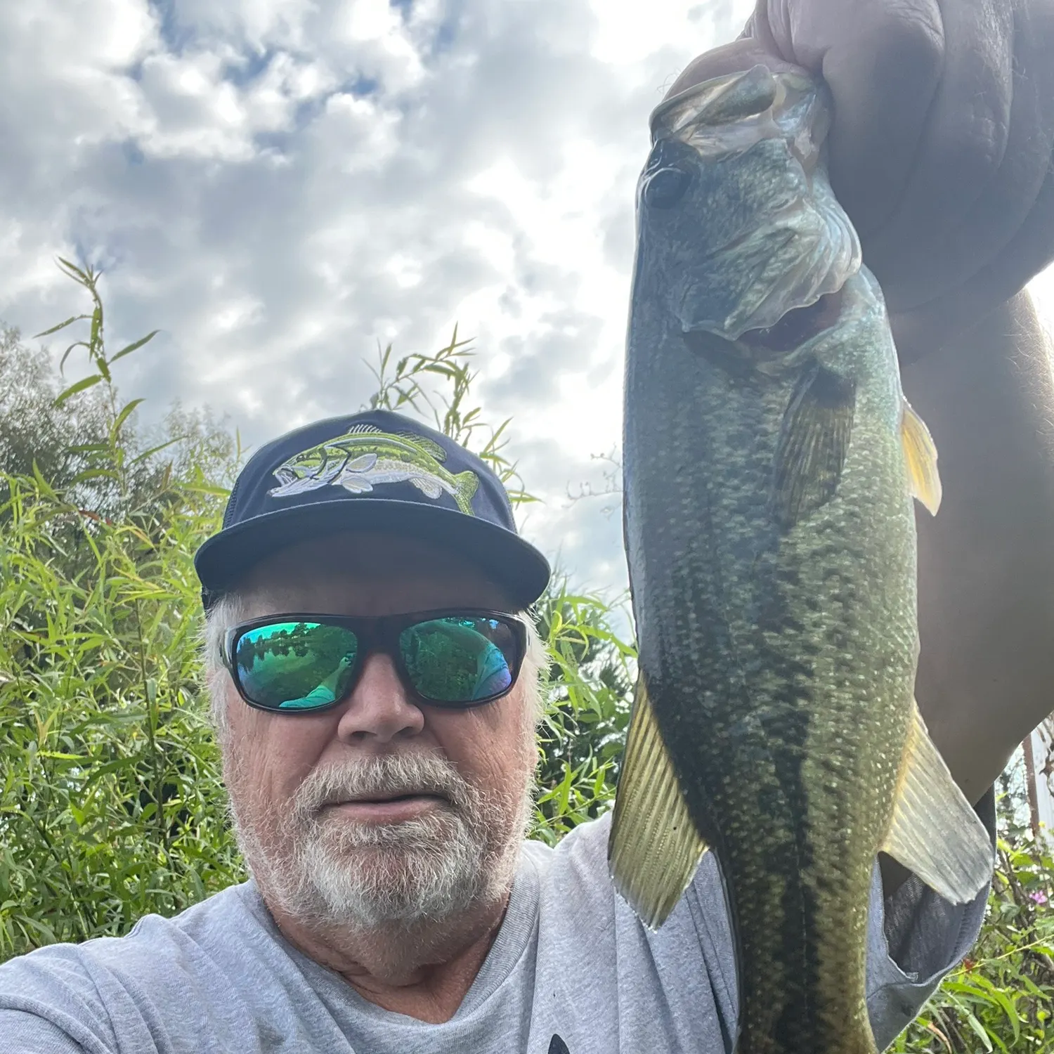 Largemouth bass caught on Fishbrain