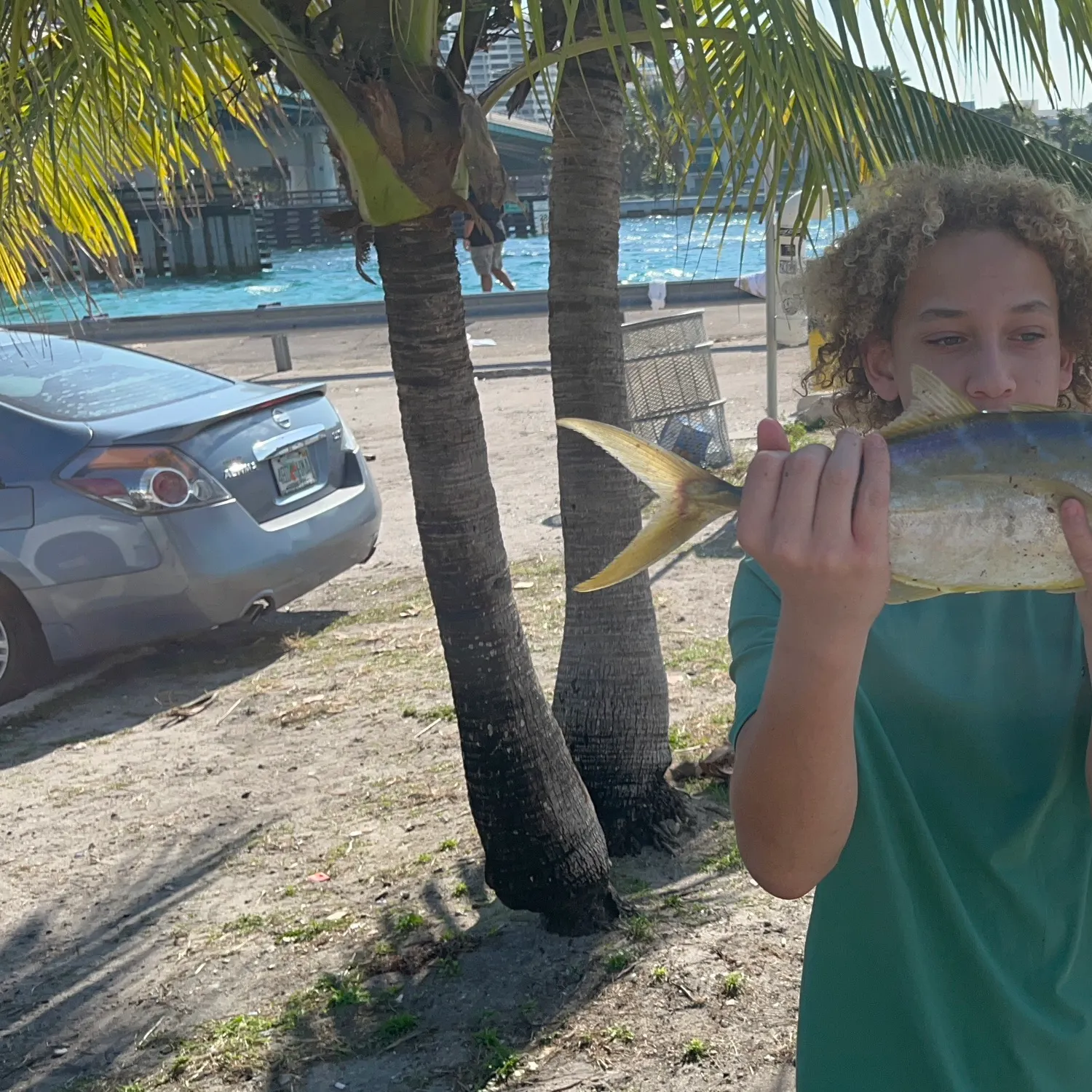 The most recent Yellow jack catches on Fishbrain
