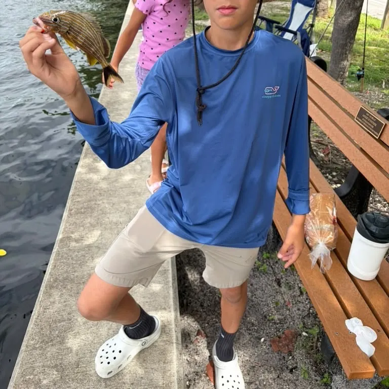 Bluestriped grunt caught on Fishbrain