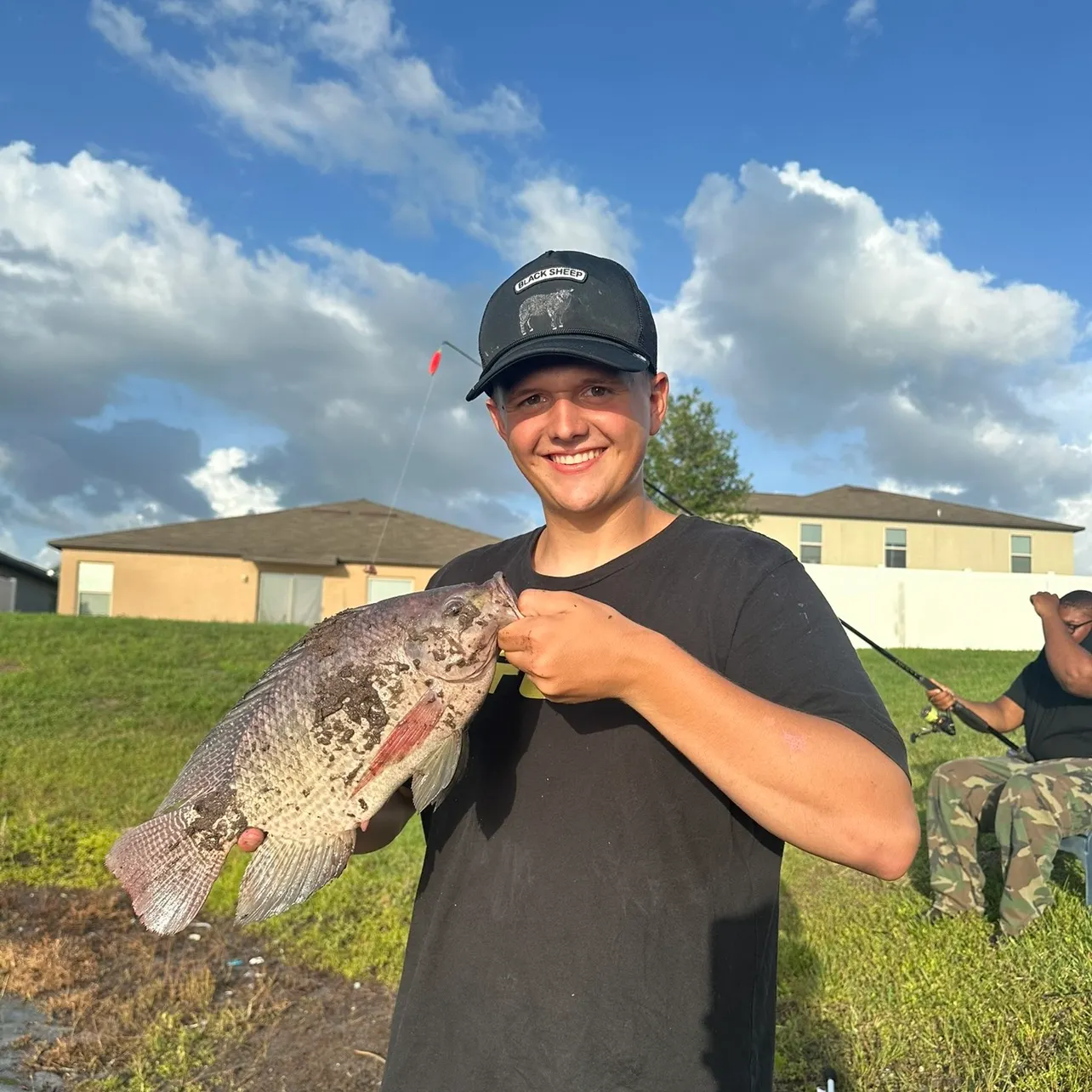 The most recent Nile tilapia catches on Fishbrain