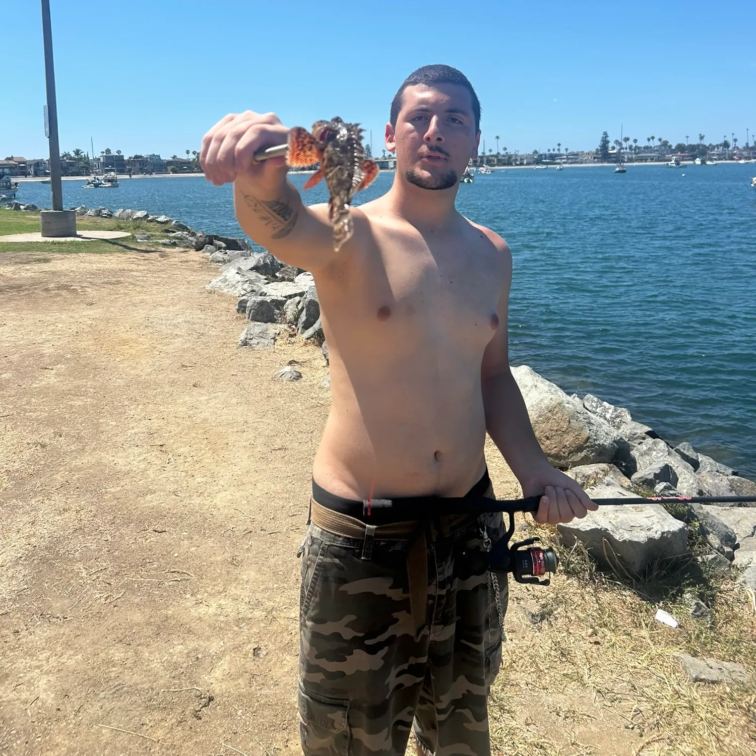 The most recent California scorpionfish catches on Fishbrain