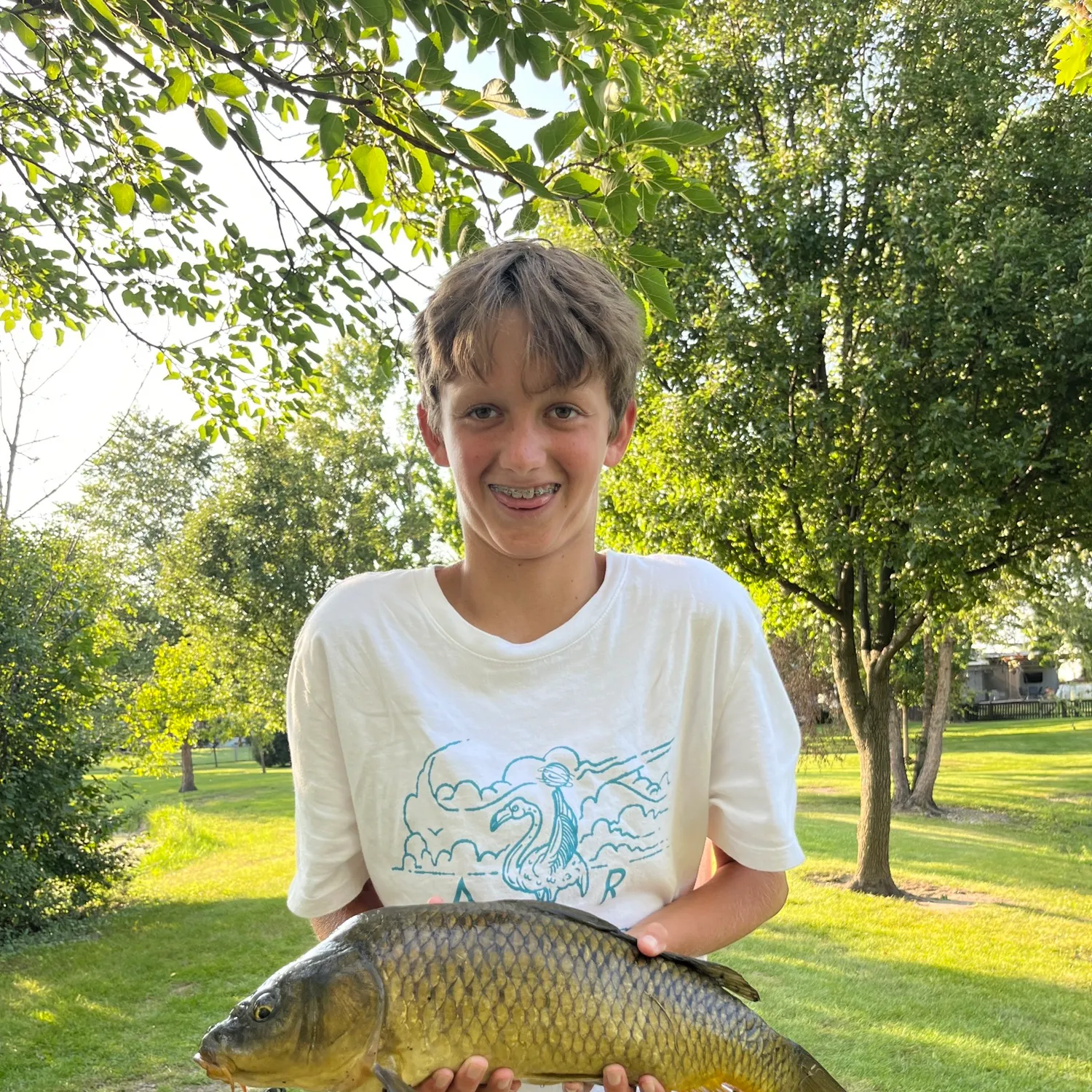 Common carp caught on Fishbrain