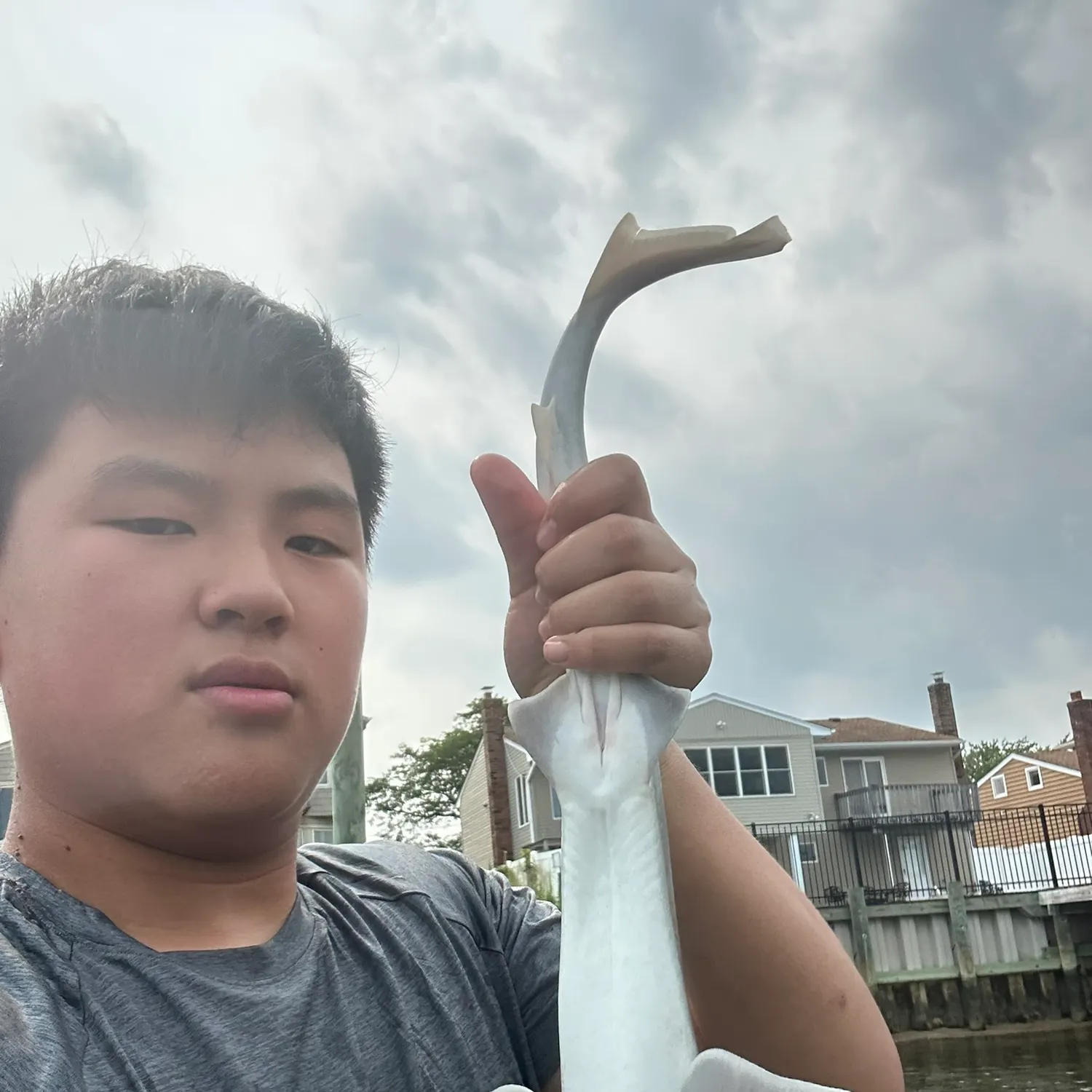 The most recent Dusky smooth-hound catches on Fishbrain