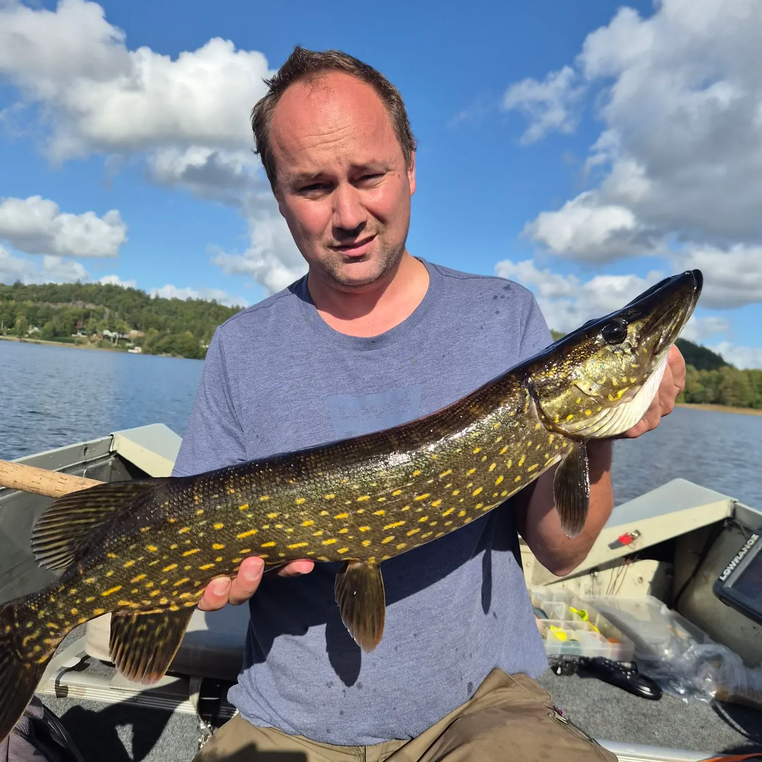 Northern pike caught on Fishbrain