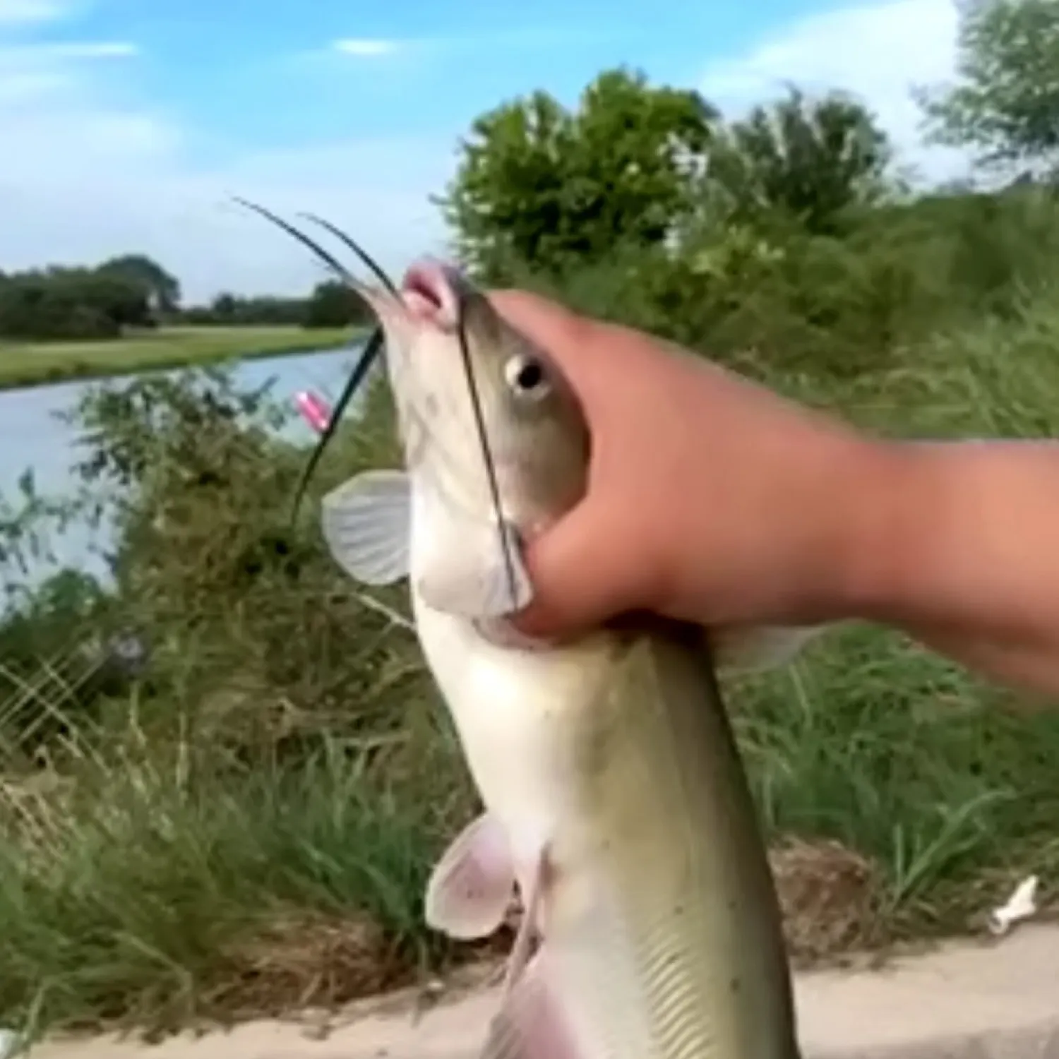 catch