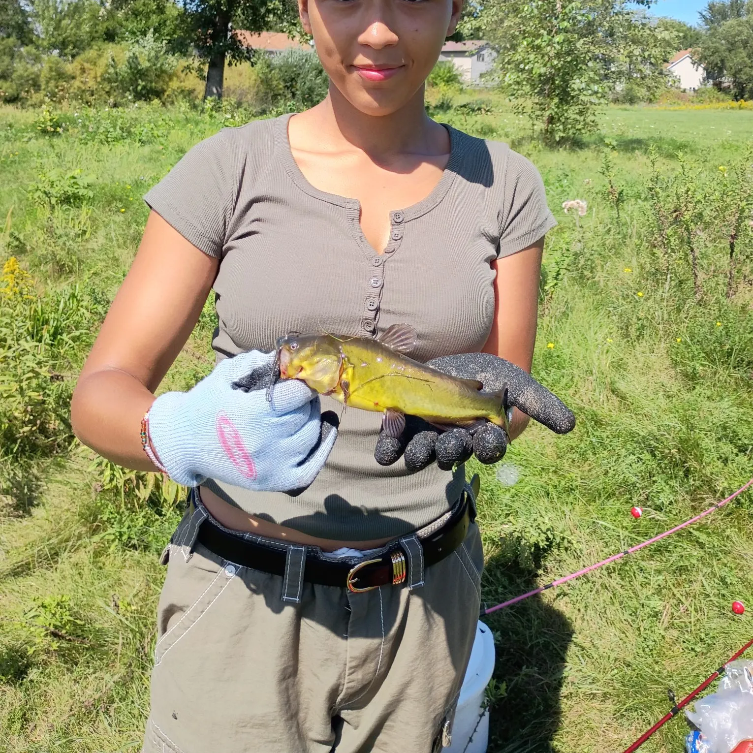 Yellow bullhead caught on Fishbrain