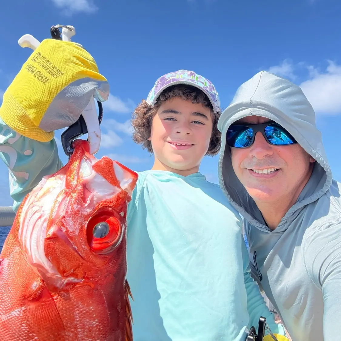 The most recent Queen Snapper catches on Fishbrain