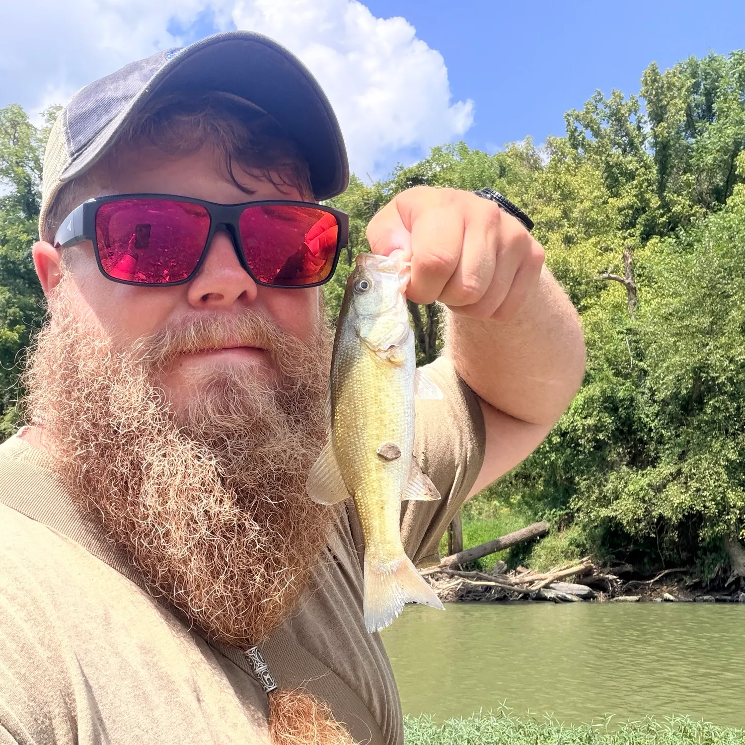 Largemouth bass caught on Fishbrain