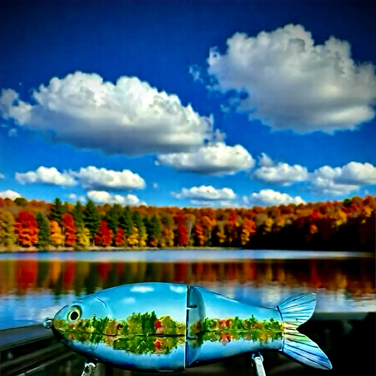 The most recent American shad catches on Fishbrain