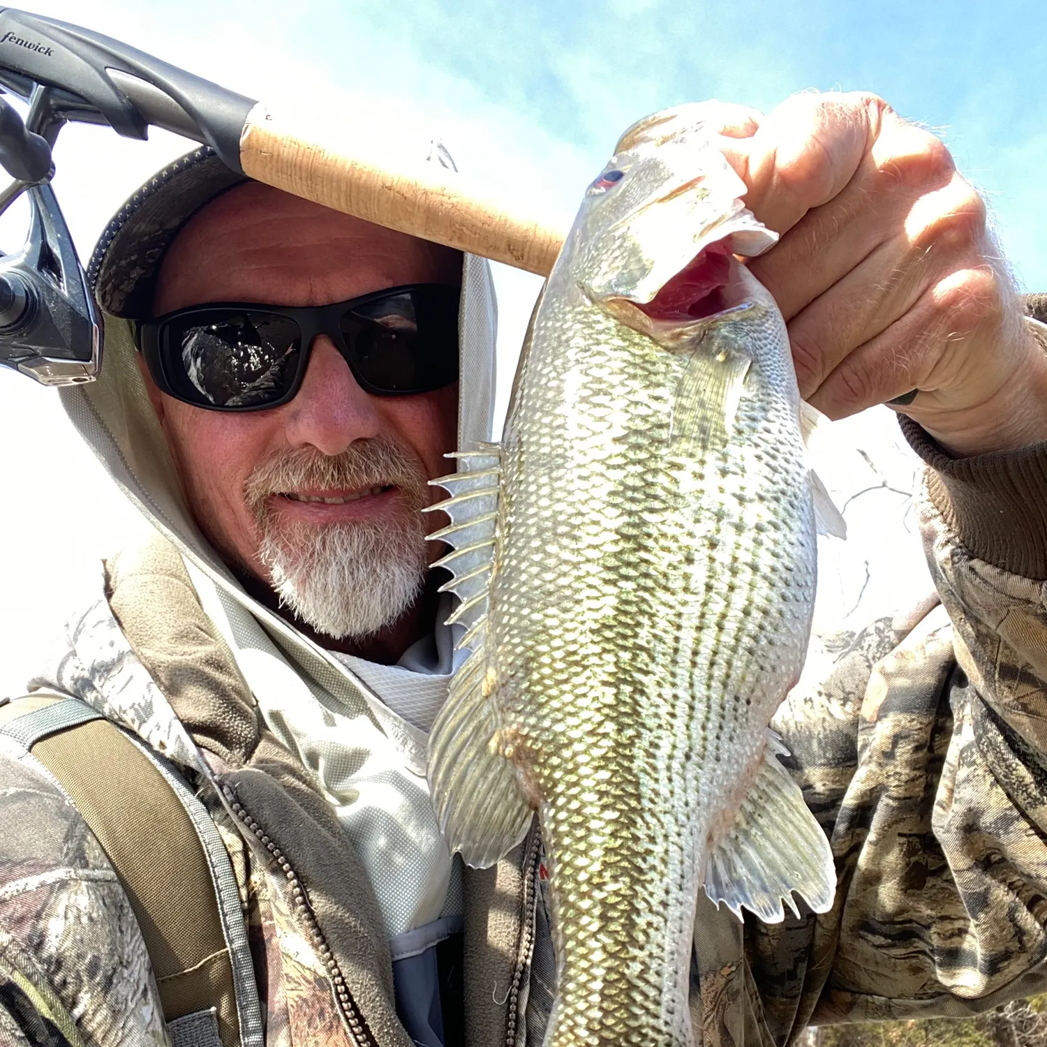 The most recent Spotted bass catches on Fishbrain