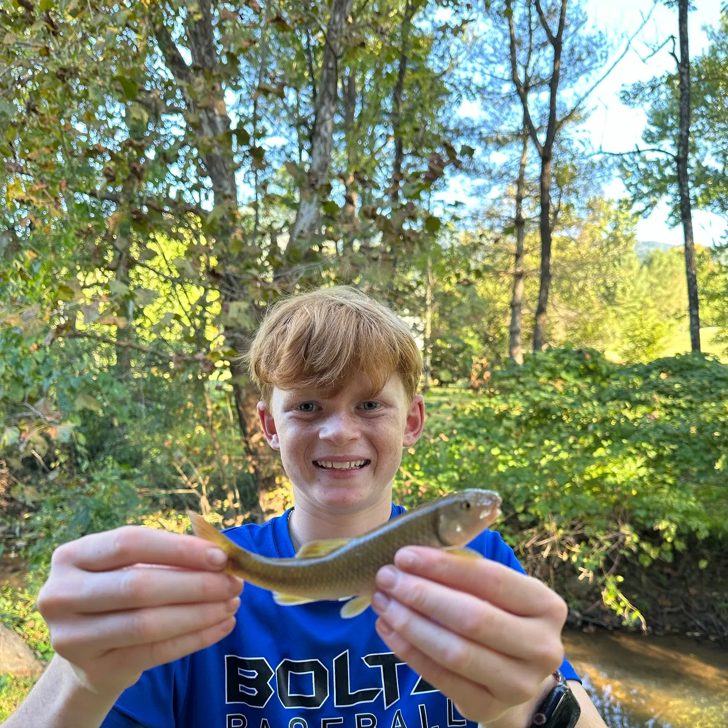 White sucker caught on Fishbrain