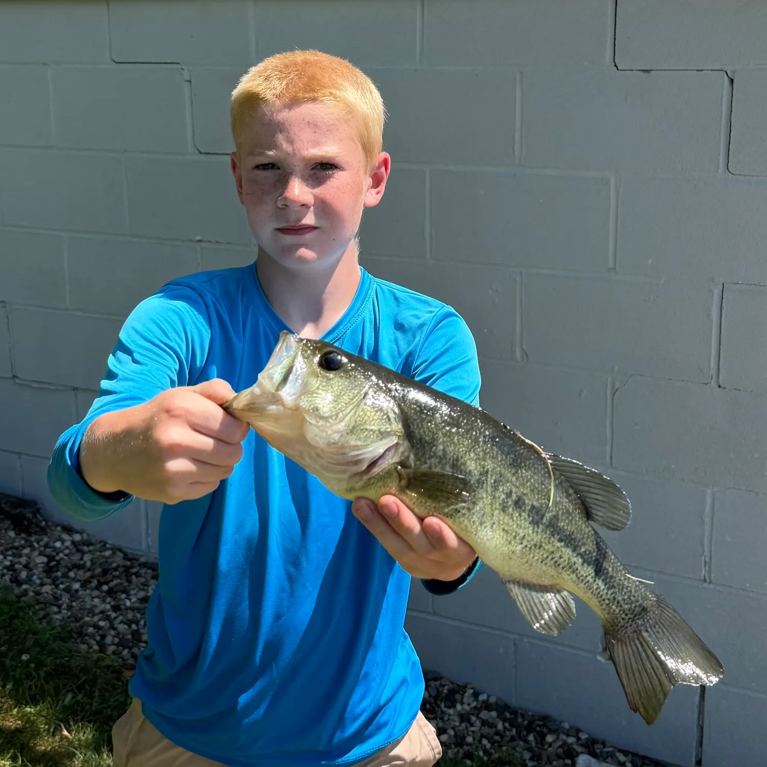 Fish caught on Fishbrain