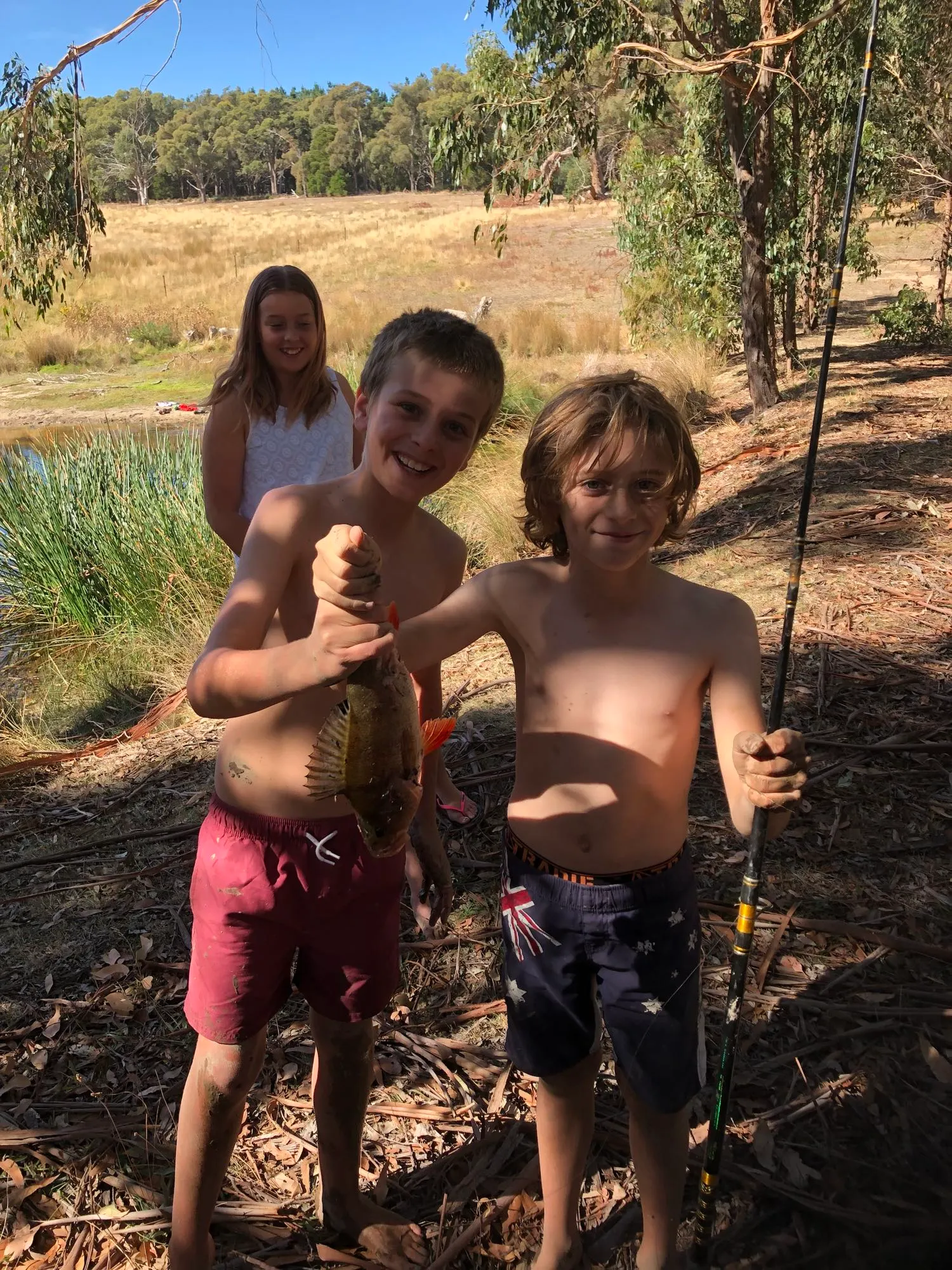 Post image from tn.t1