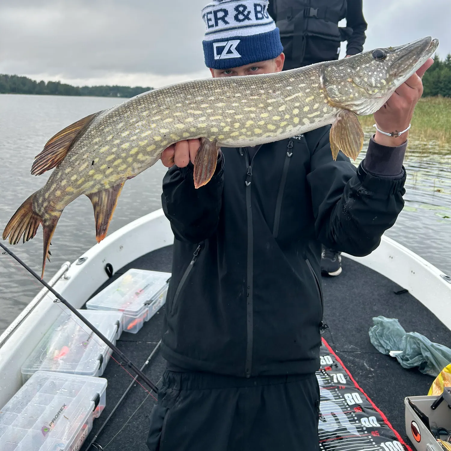 Northern pike caught on Fishbrain