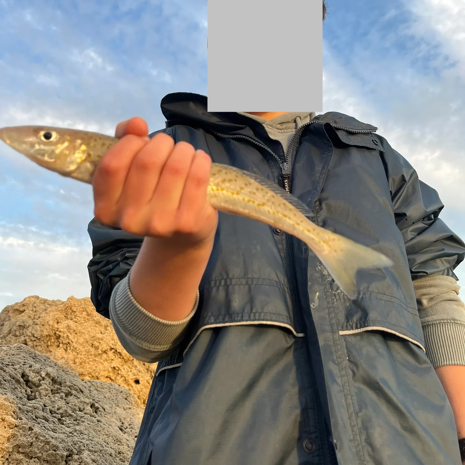 The most recent King George whiting catches on Fishbrain