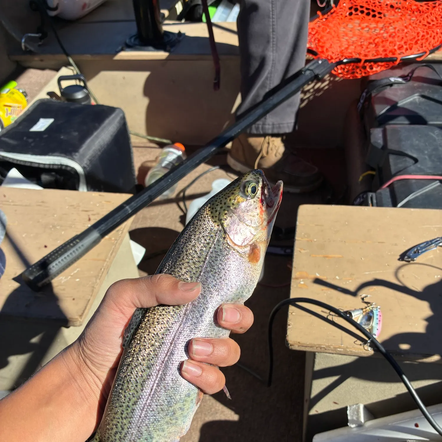 catch