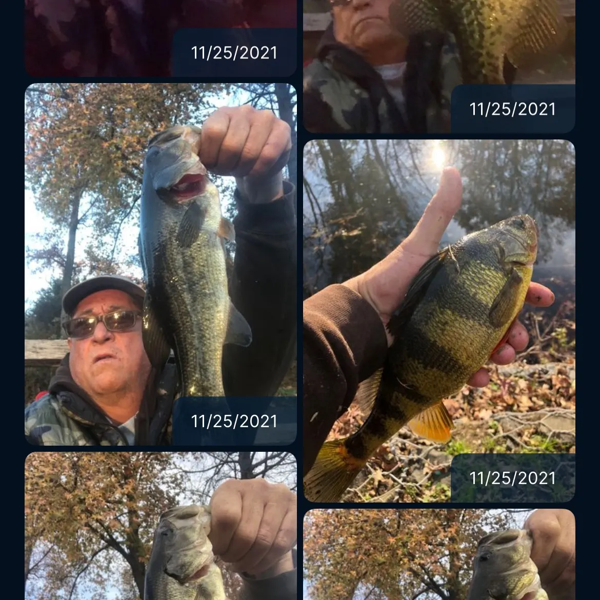 recently logged catches