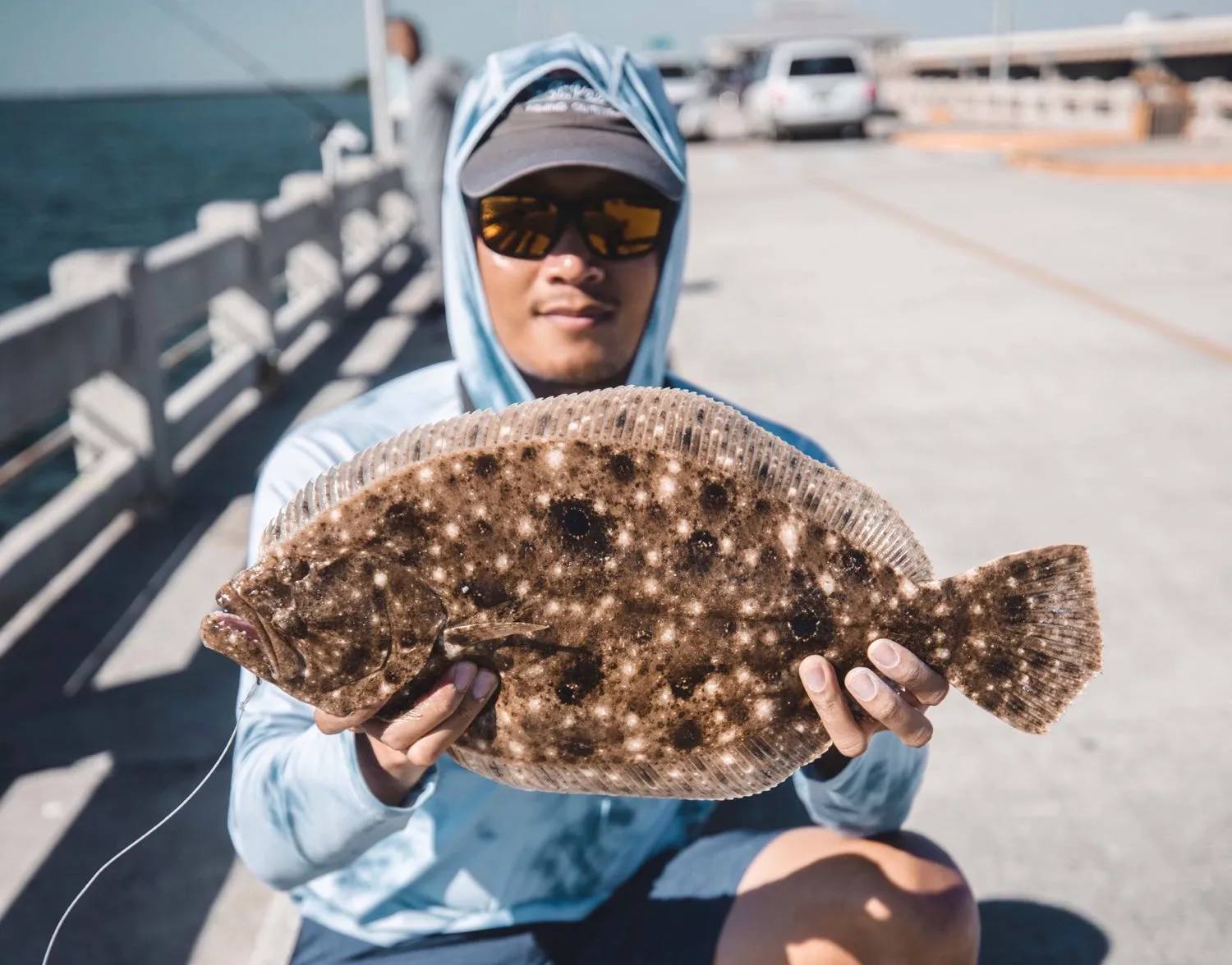 Summer flounder