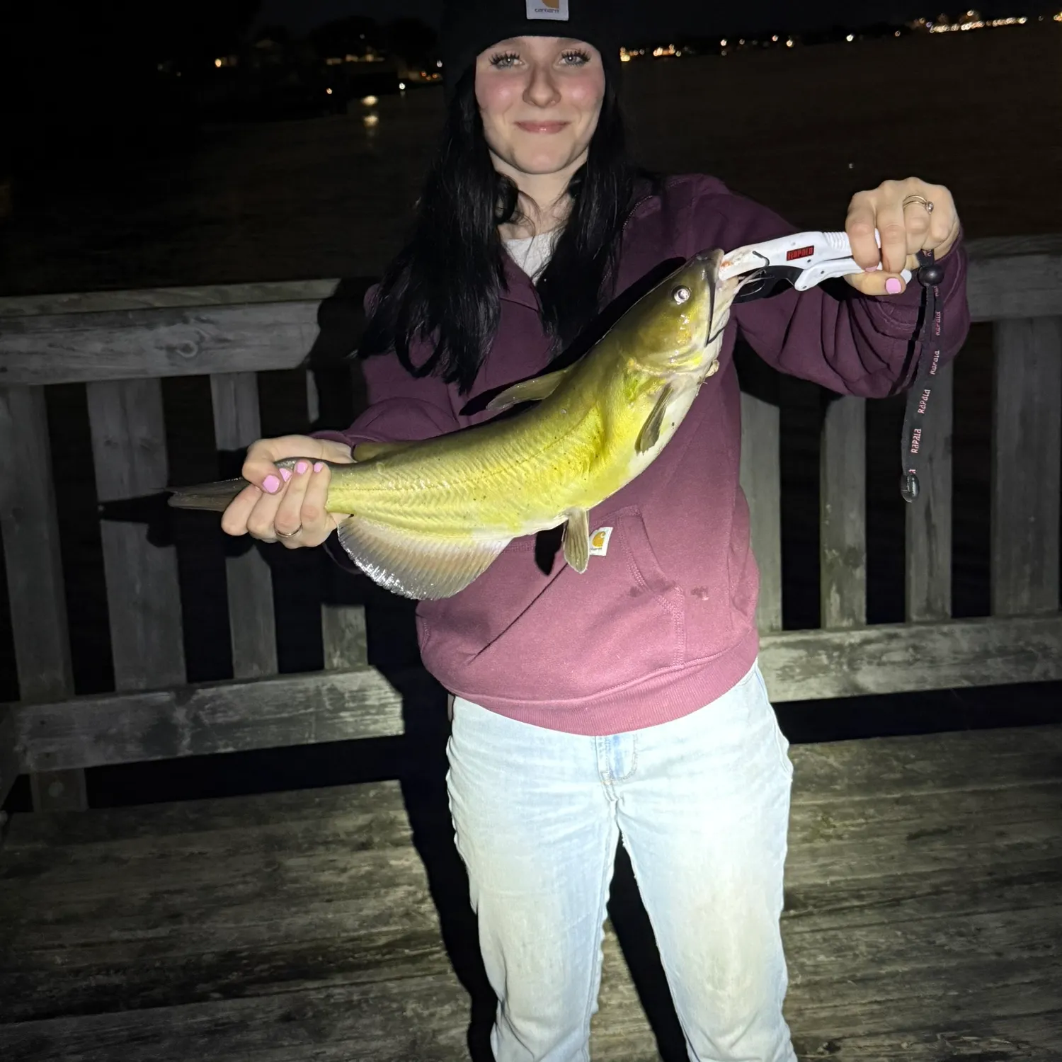 Channel catfish caught on Fishbrain