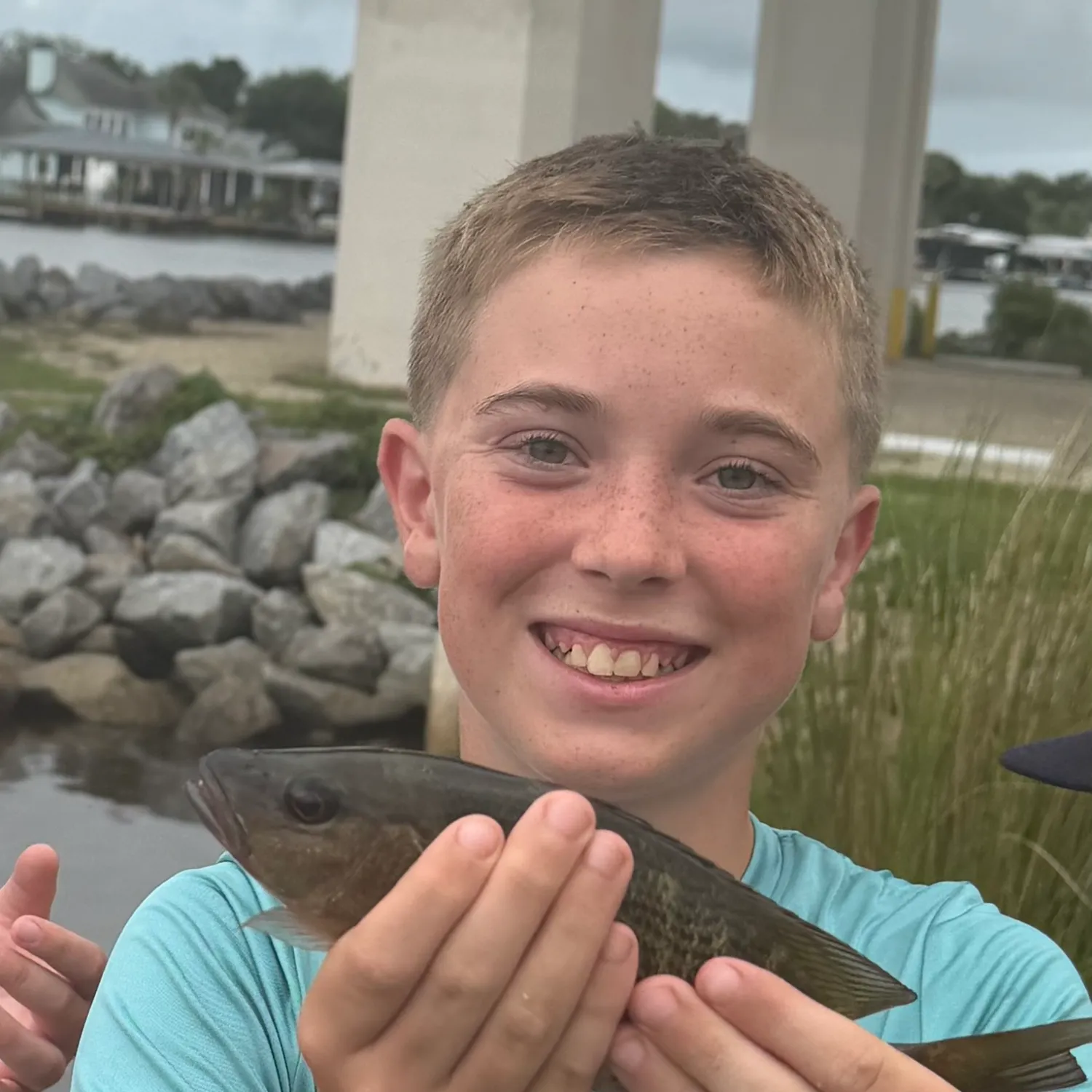 Mangrove snapper caught on Fishbrain