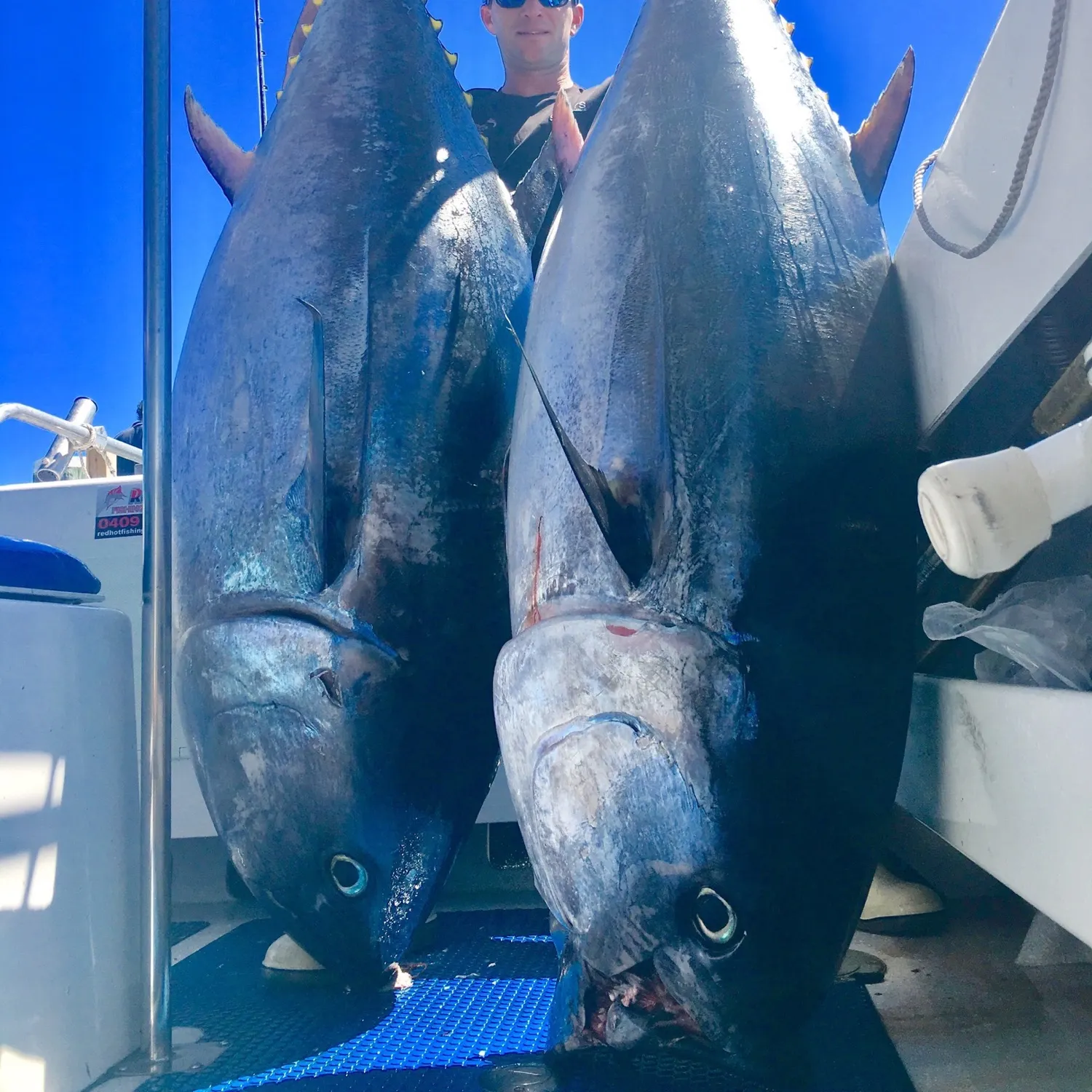 The most recent Southern bluefin tuna catches on Fishbrain