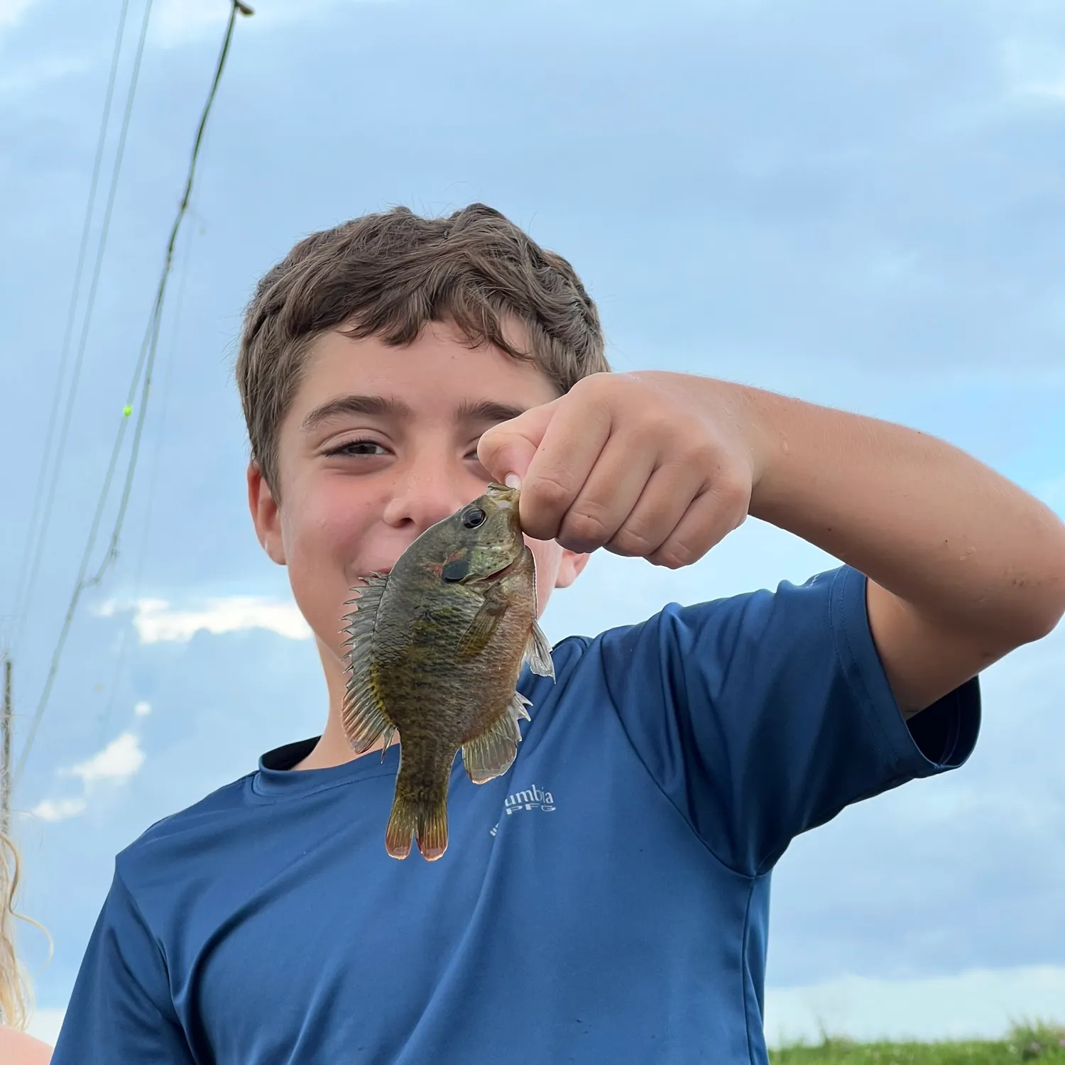 The most recent Warmouth catches on Fishbrain