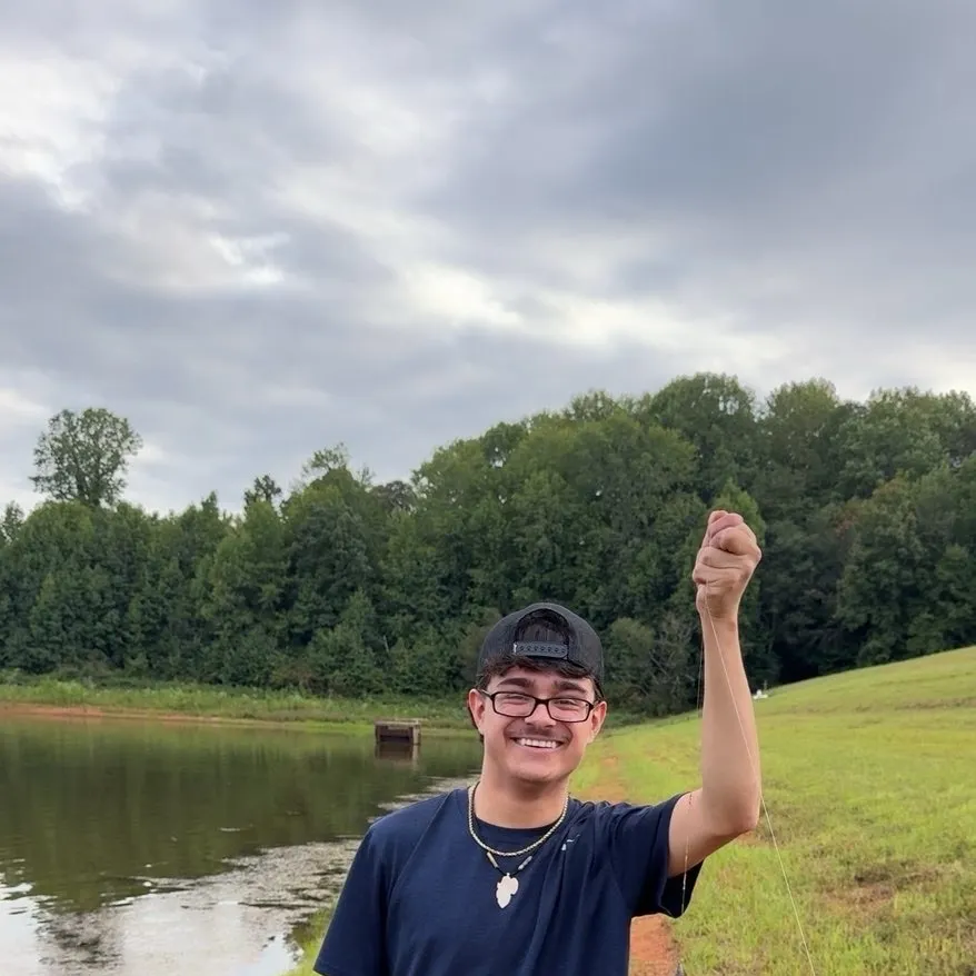 Flathead catfish caught on Fishbrain
