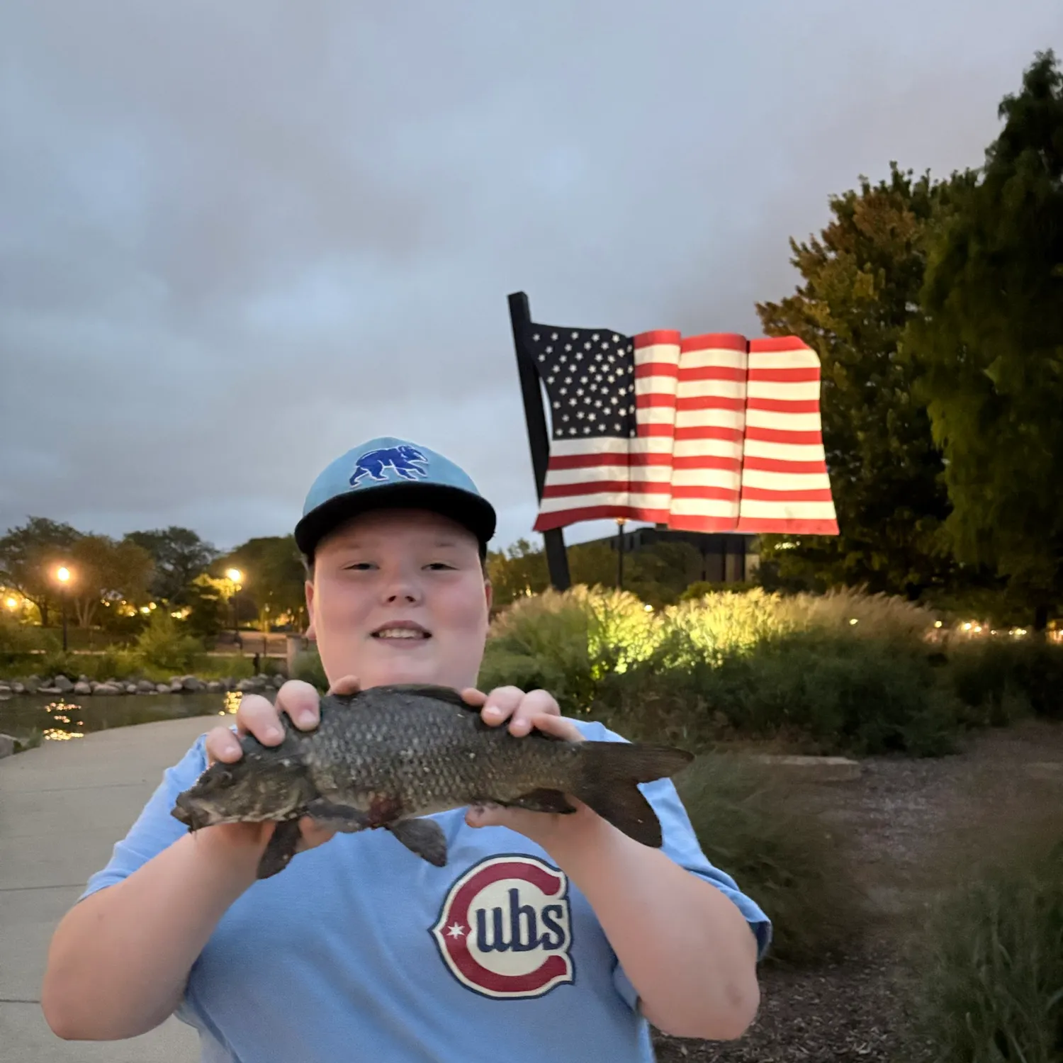 Common carp caught on Fishbrain