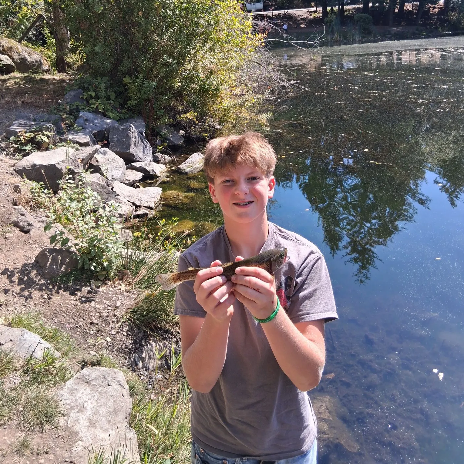 Rainbow trout caught on Fishbrain