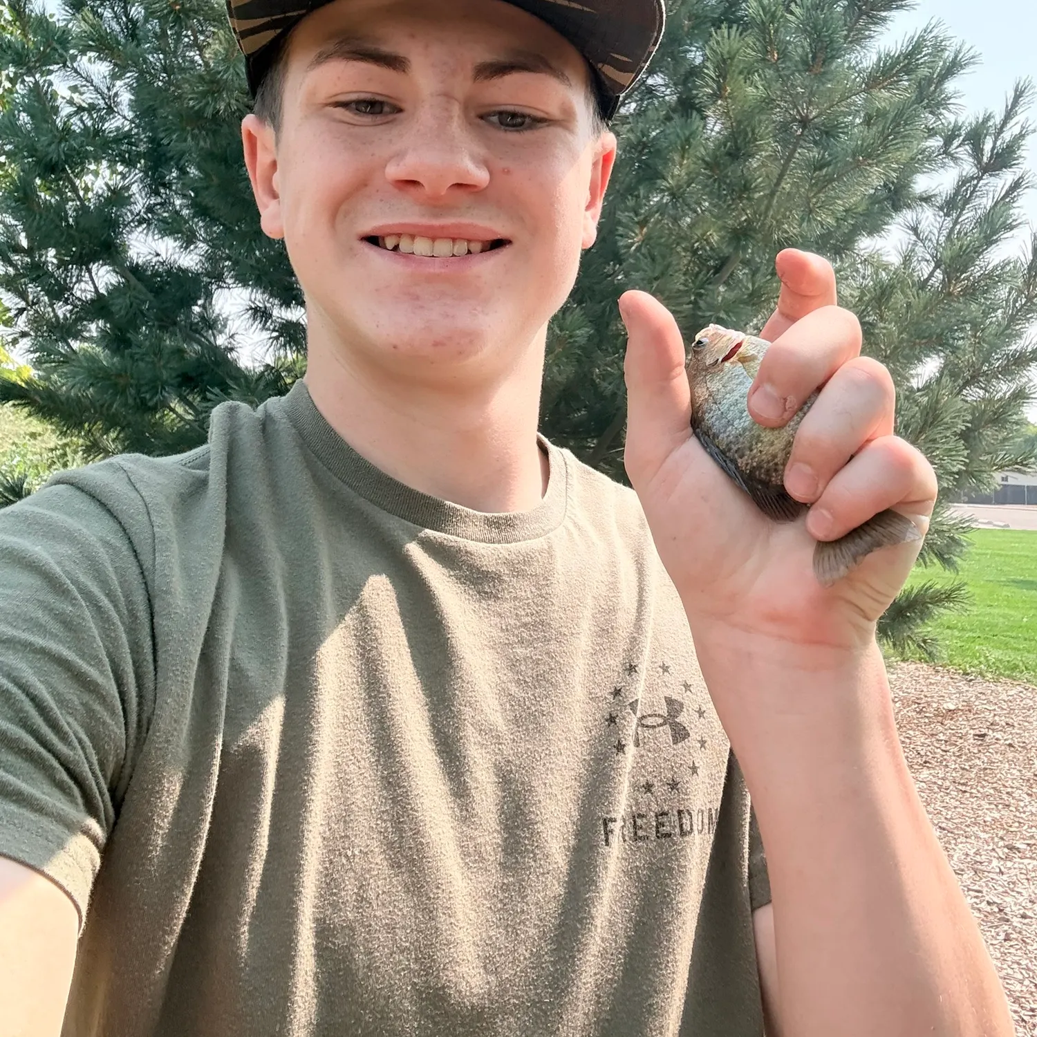 Bluegill caught on Fishbrain
