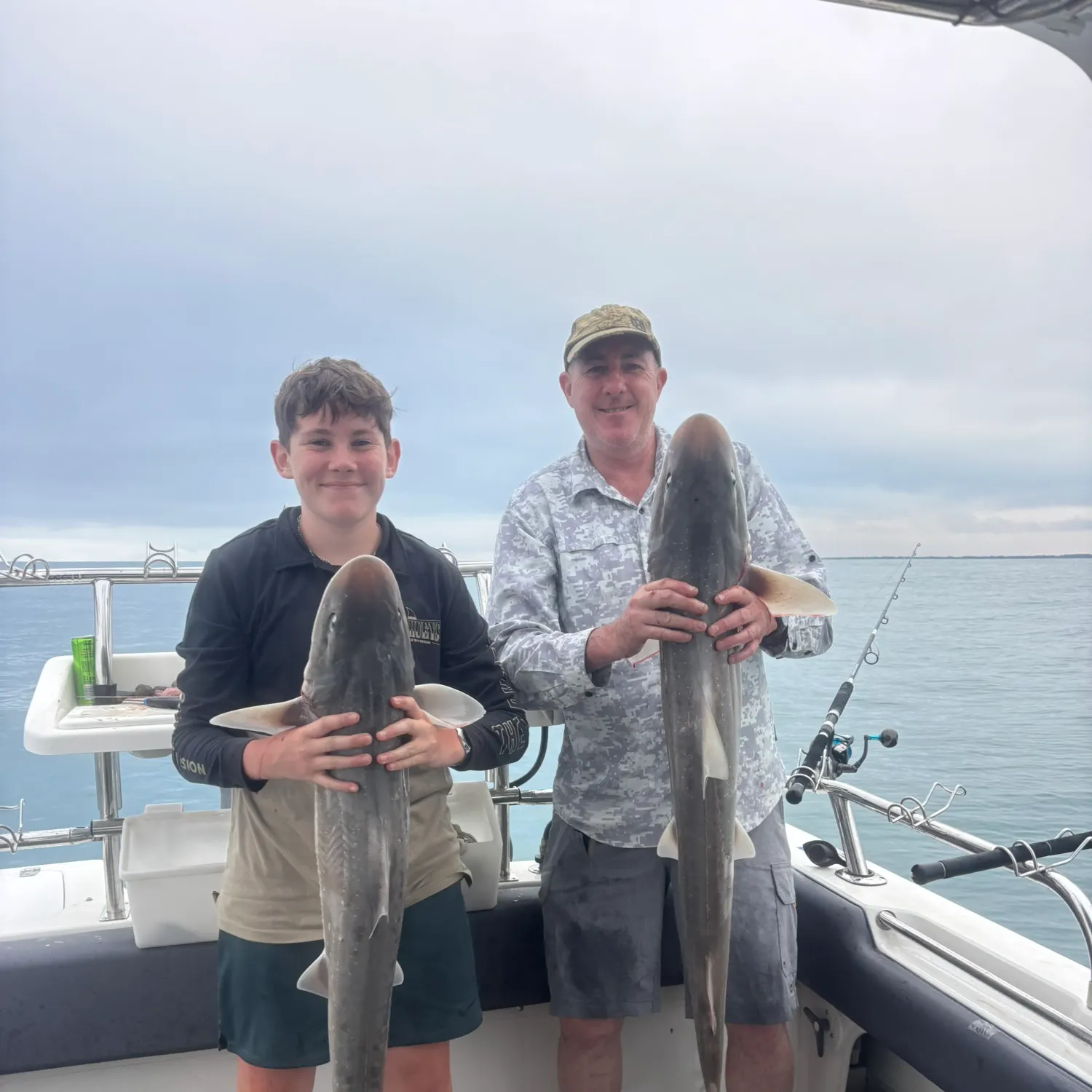 The most recent Gummy shark catches on Fishbrain