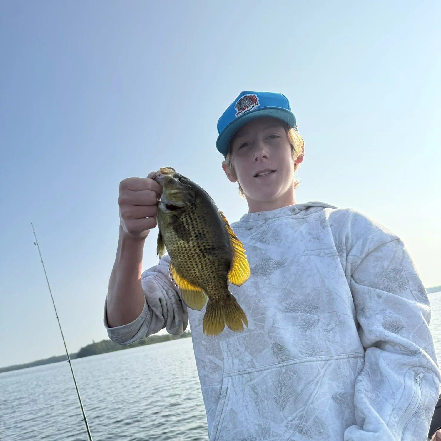 Rock bass caught on Fishbrain