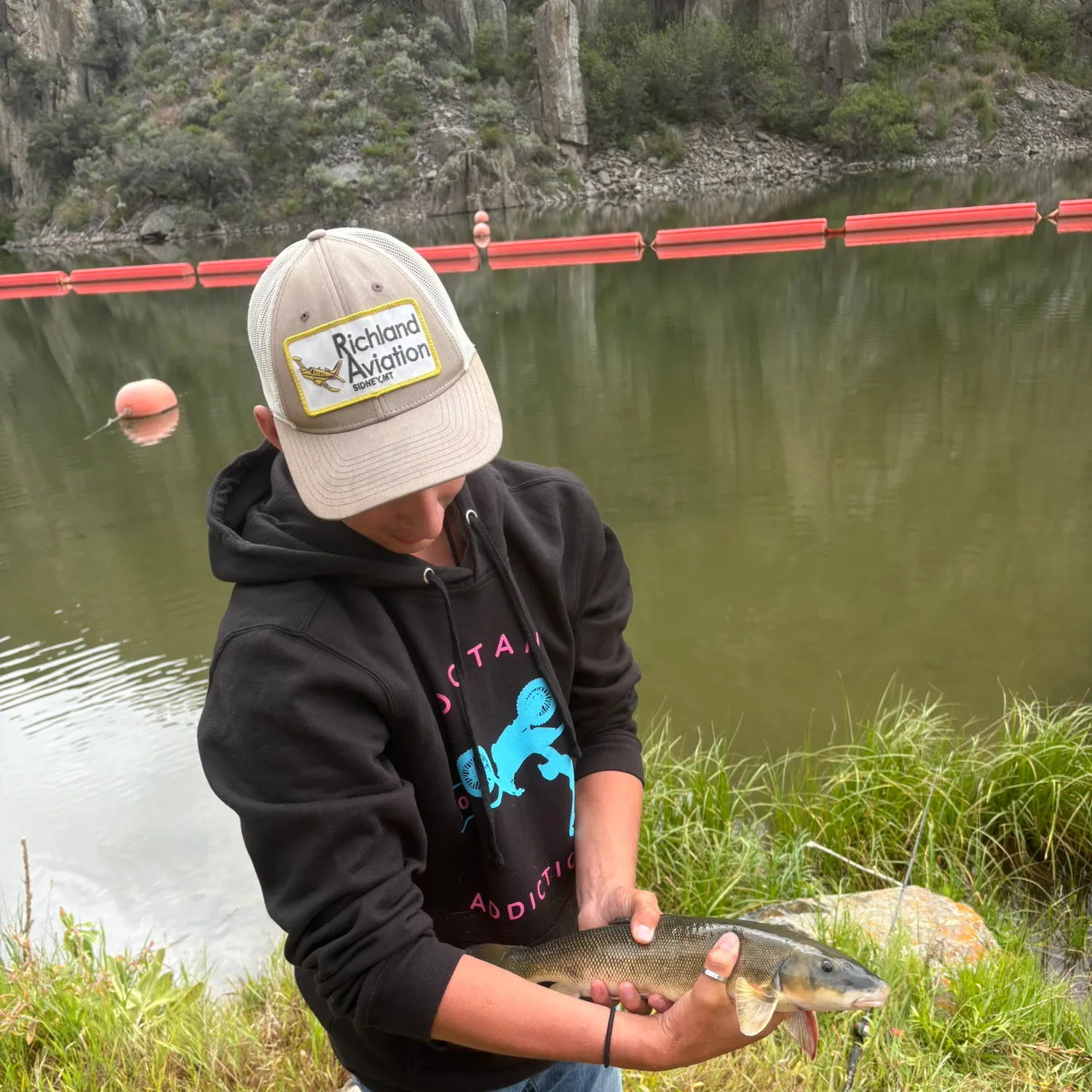 The most recent Largescale sucker catches on Fishbrain