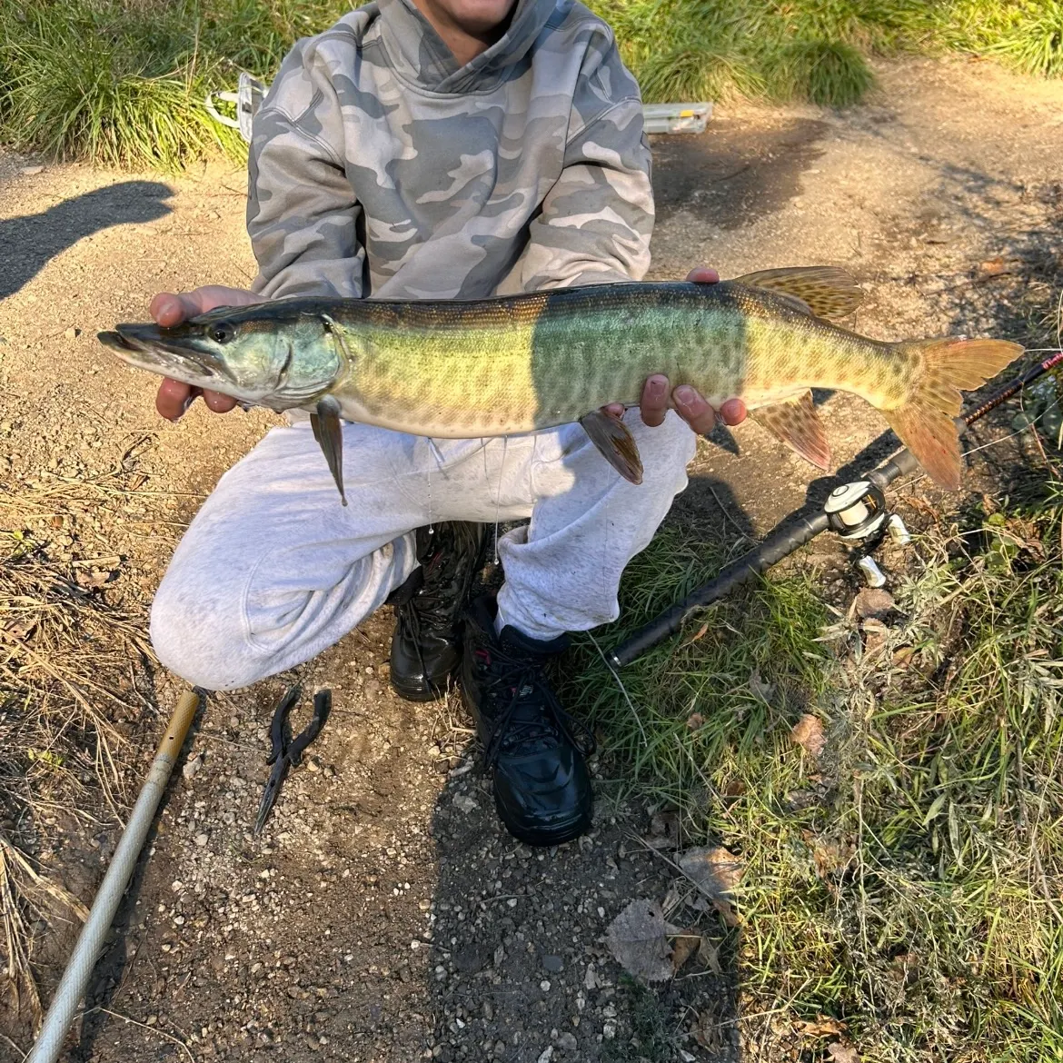 Muskie caught on Fishbrain