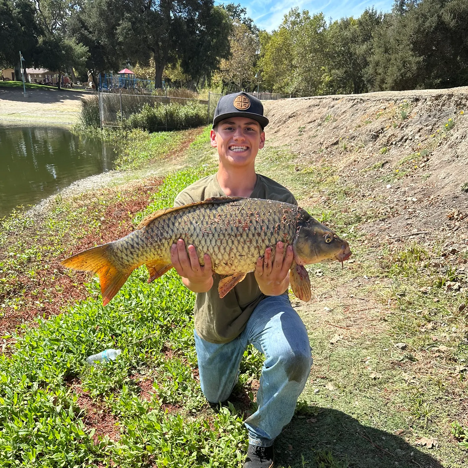 Common carp caught on Fishbrain