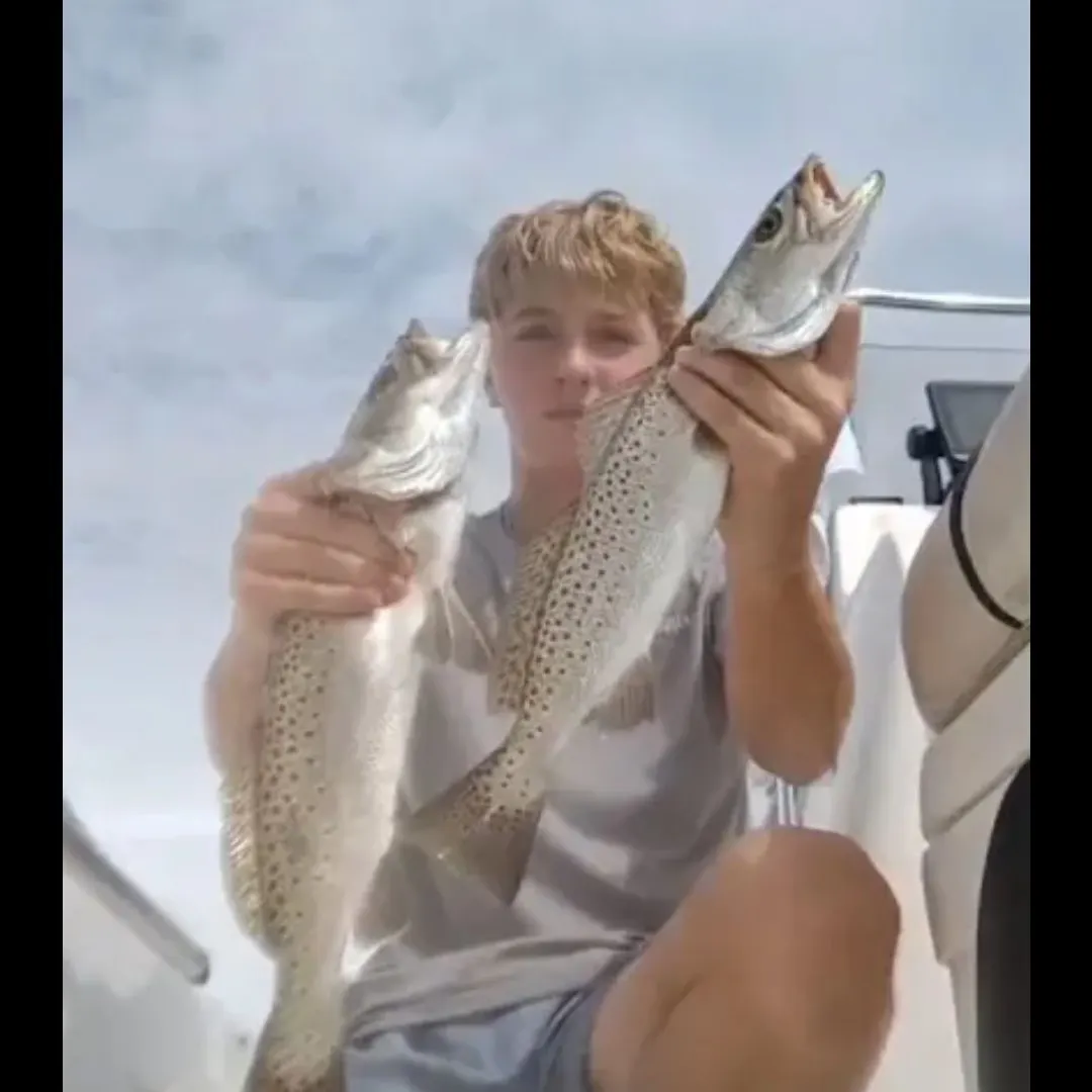 Spotted seatrout caught on Fishbrain