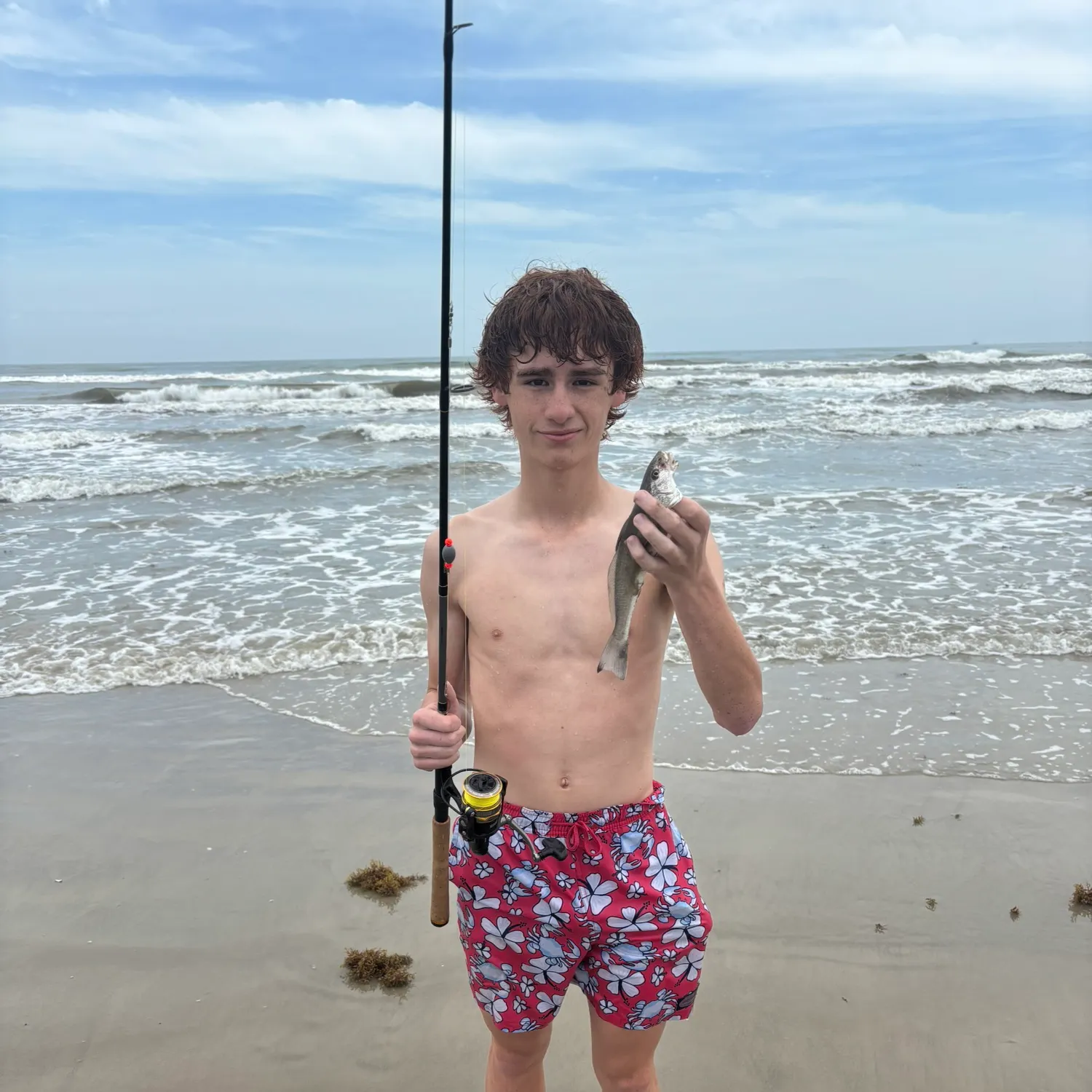 The most recent Pacific whiting catches on Fishbrain