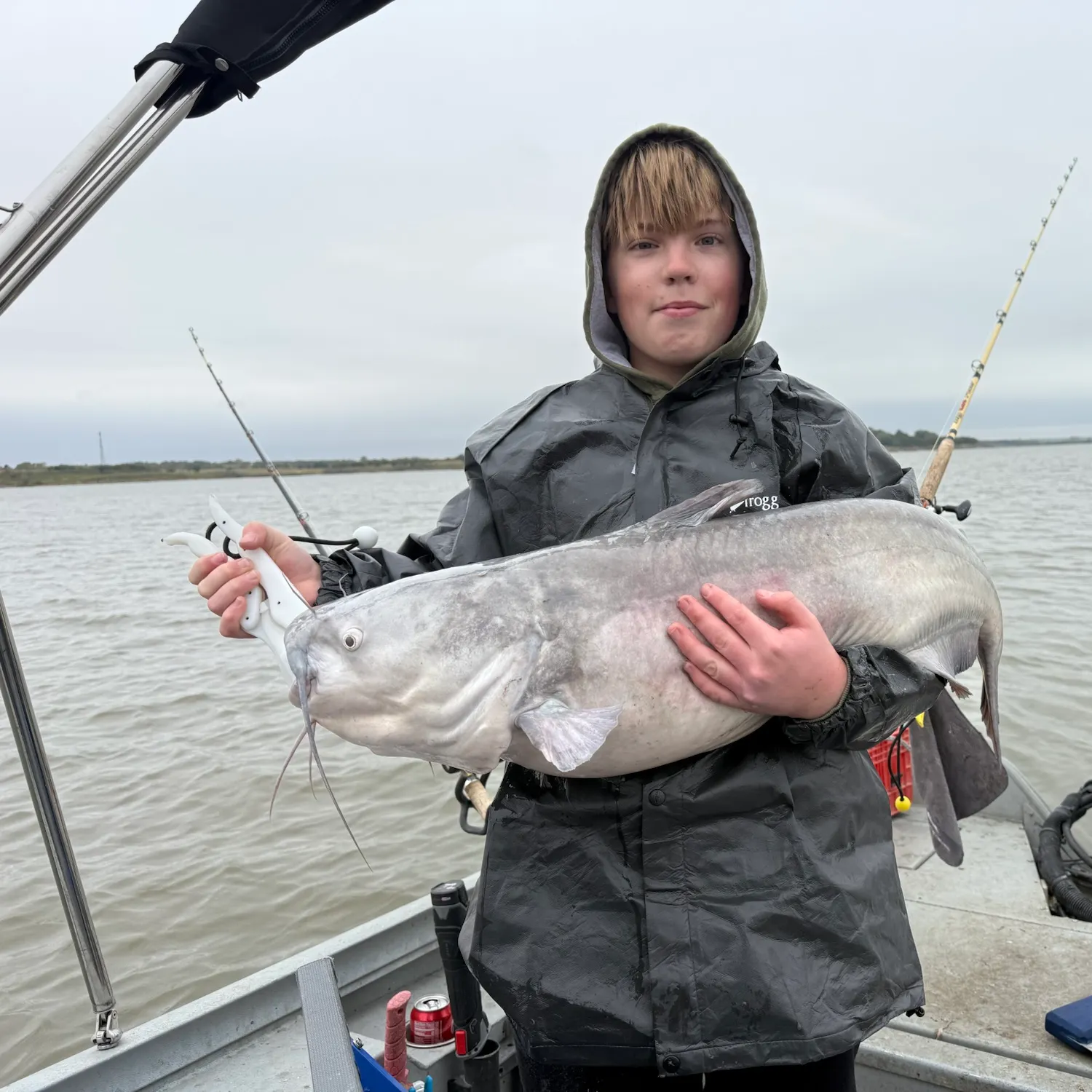 Blue catfish caught on Fishbrain