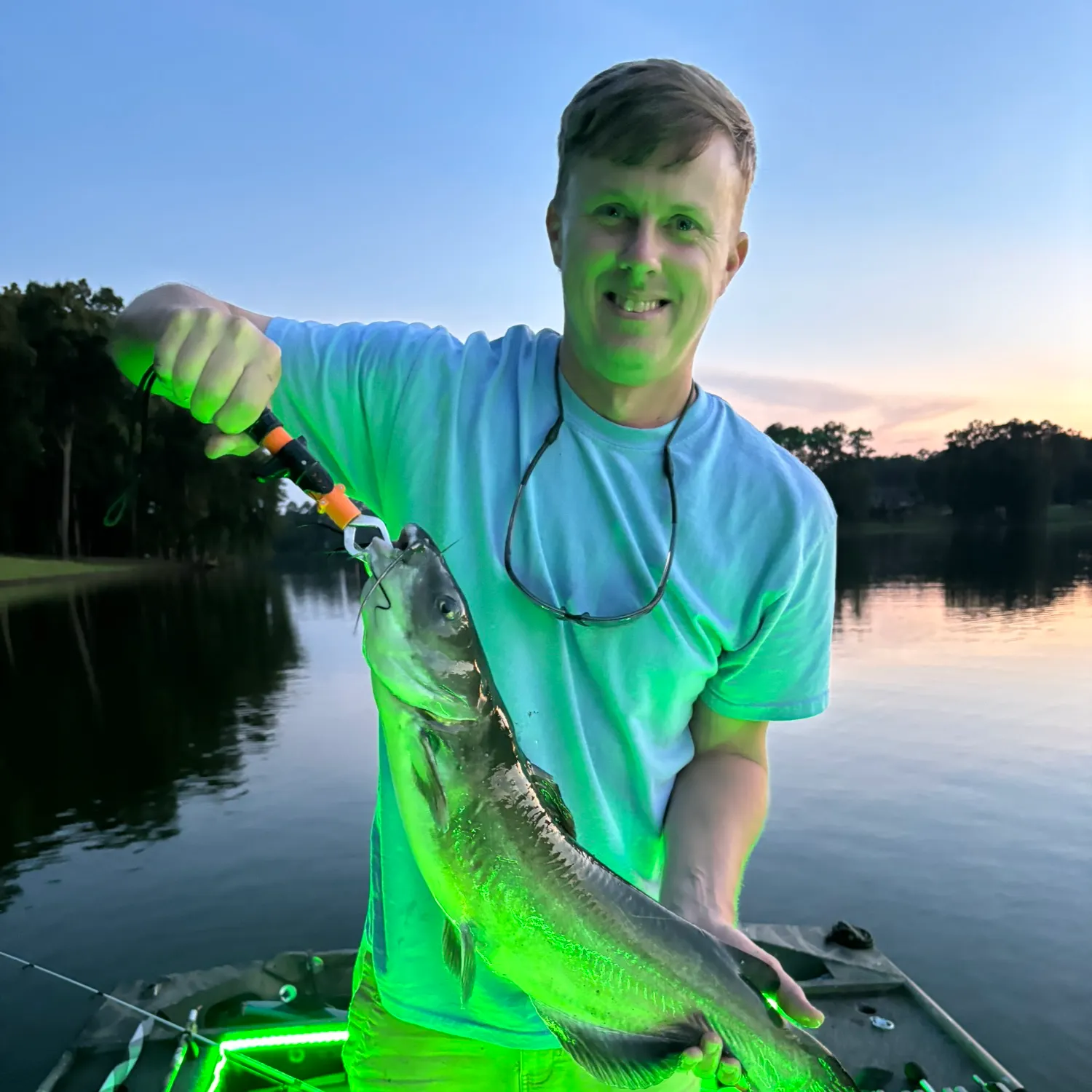 Channel catfish caught on Fishbrain