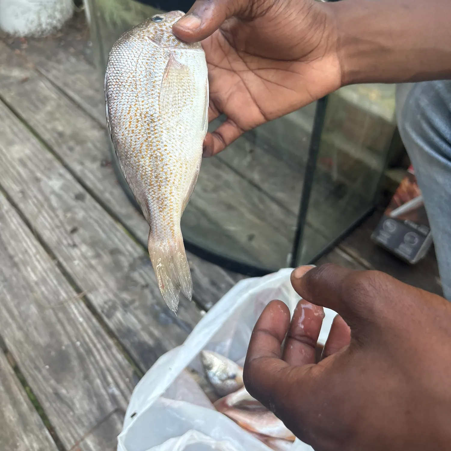 catch