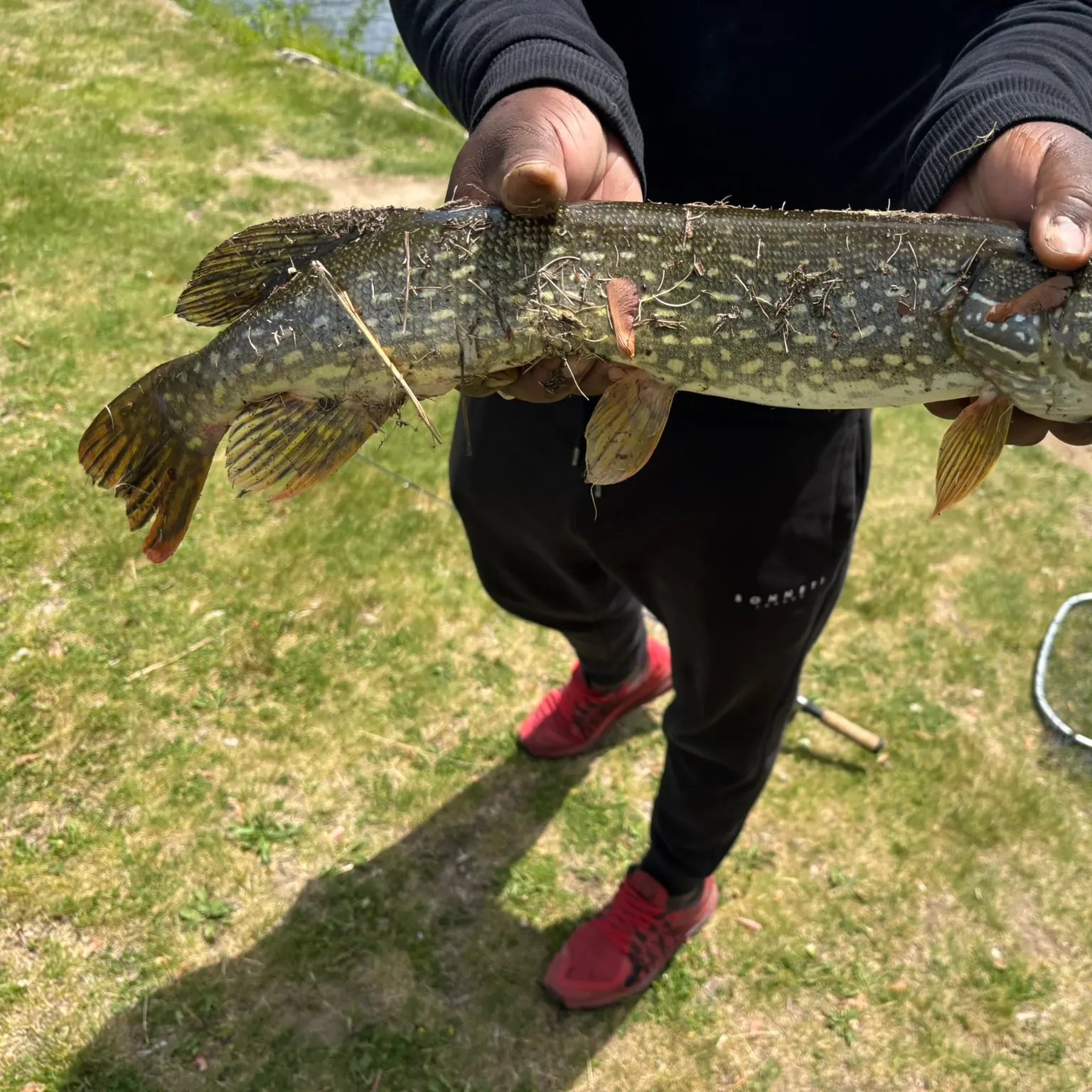 catch